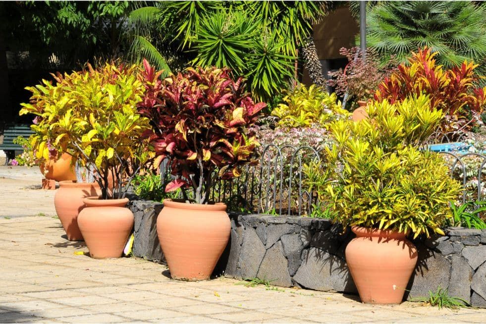 doniczki zewnętrzne