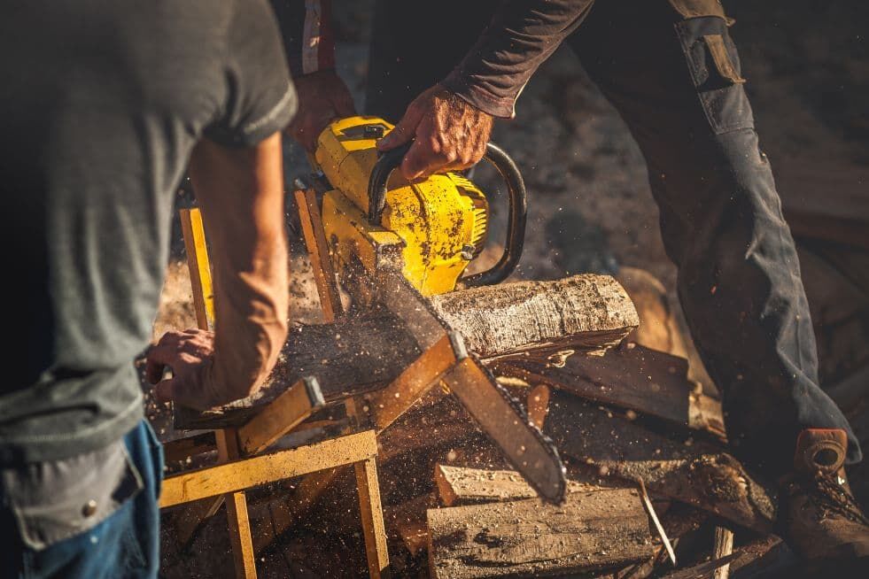 Jak prawidłowo ciąć drewno?