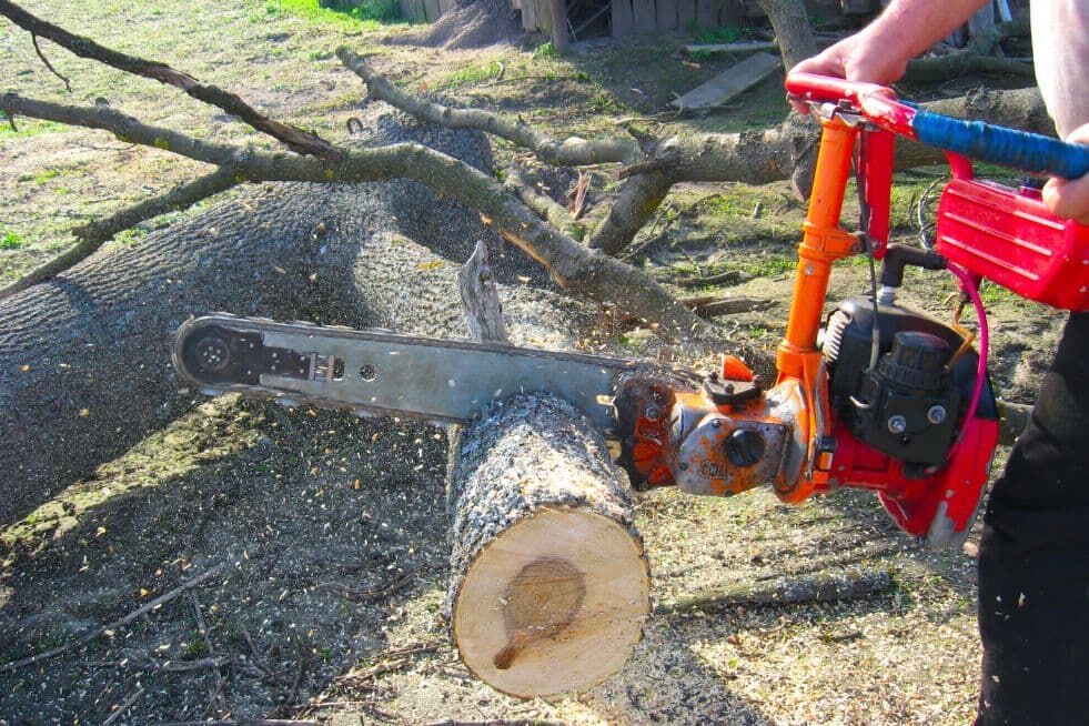 cięcie drewna piłą spalinową