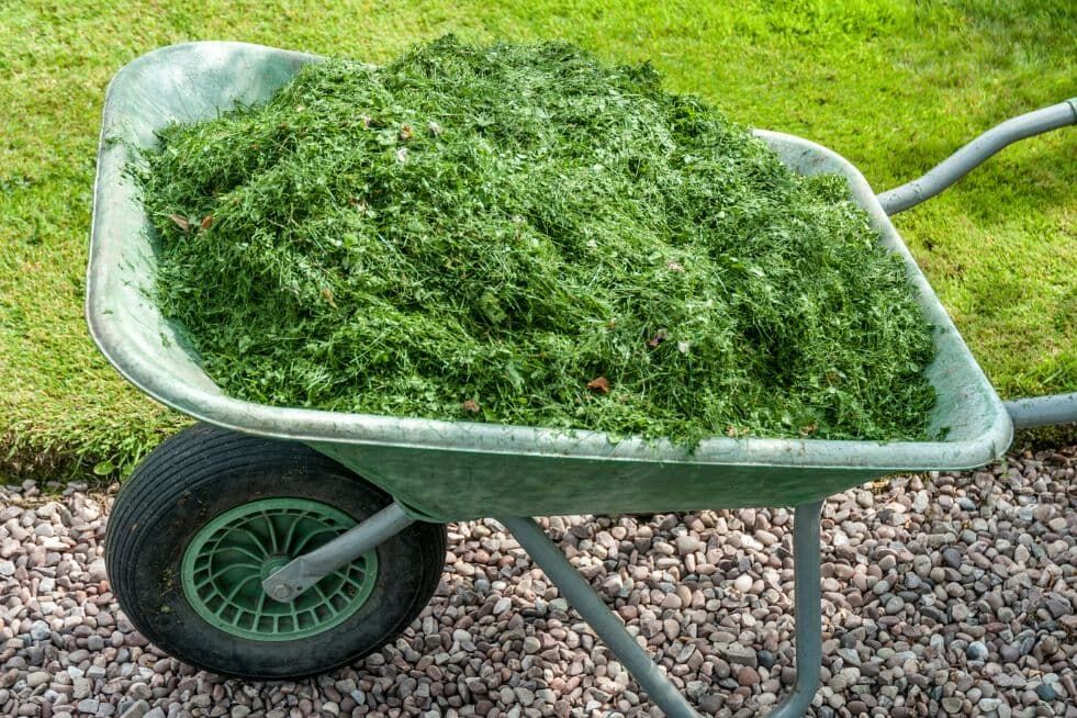 kompostowanie z wykorzystaniem trawy