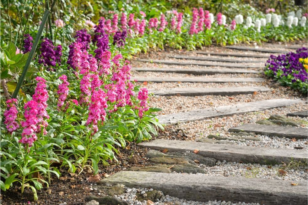 ścieżka ogrodowa drewniana