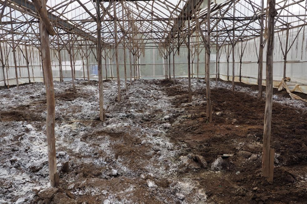 jak wapnować glebę