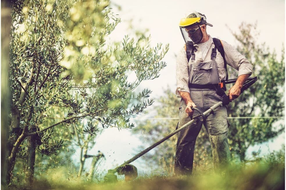 mężczyzna koszący trawnik kosiarką ręczną spalinową