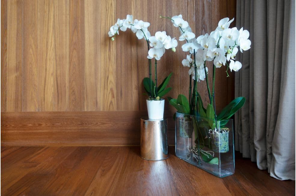 kwitnienie storczyków