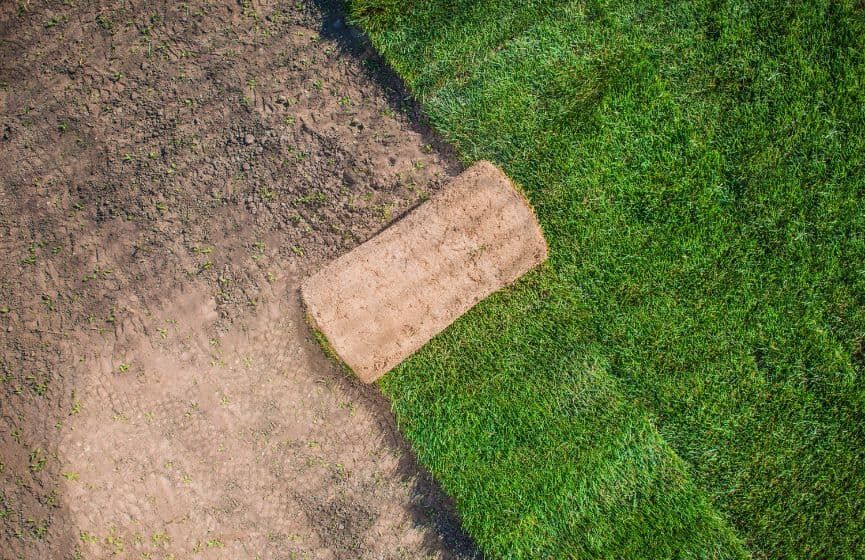 Wykładanie trawy z rolki