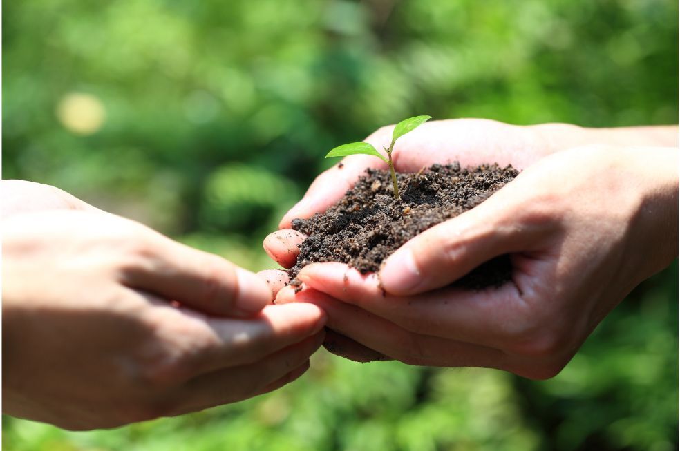 ochrona środowiska i ziemi