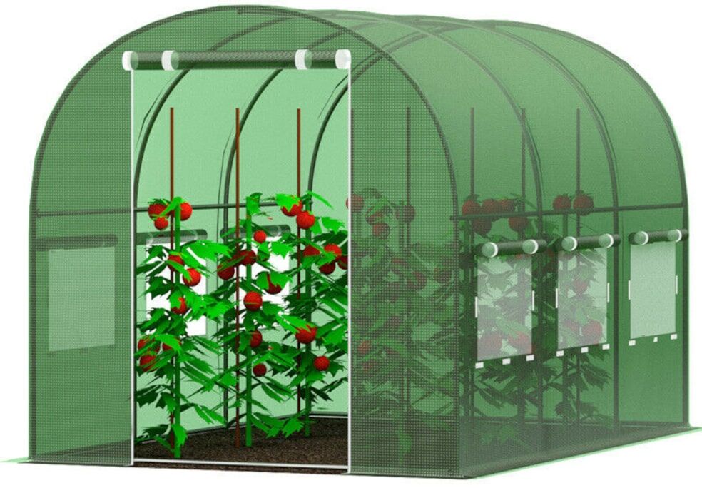 wizualizacja tunelu foliowego z sadzonkami pomidorów