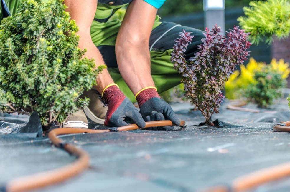 mężczyzna montujący rury do systemu nawadniania