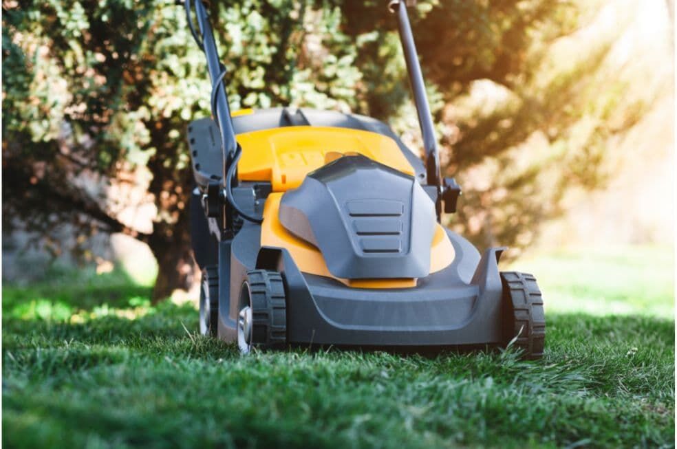 kosiarka do trawy