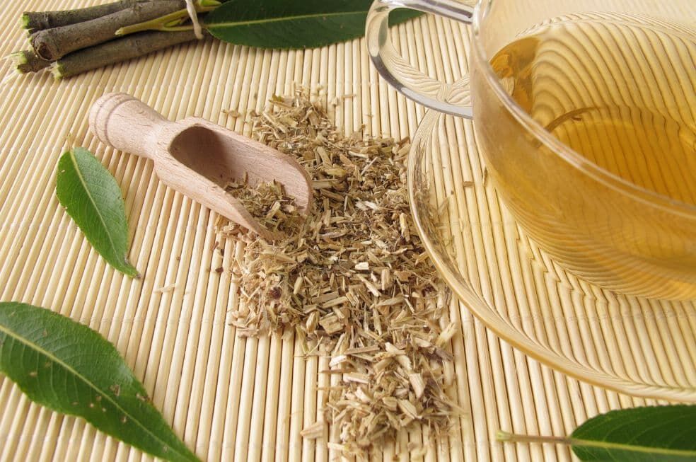 ususzona kora wierzby