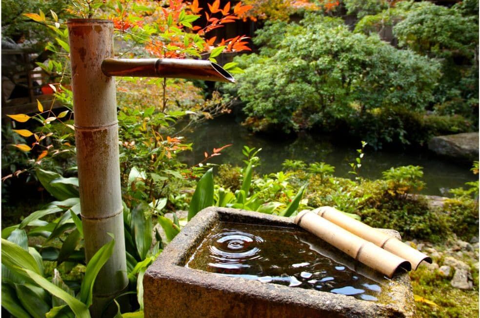 bambusowe źródełko w ogrodzie japońskim