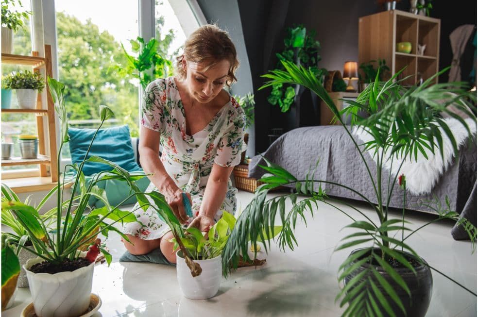 kobieta sadząca kwiaty do domu