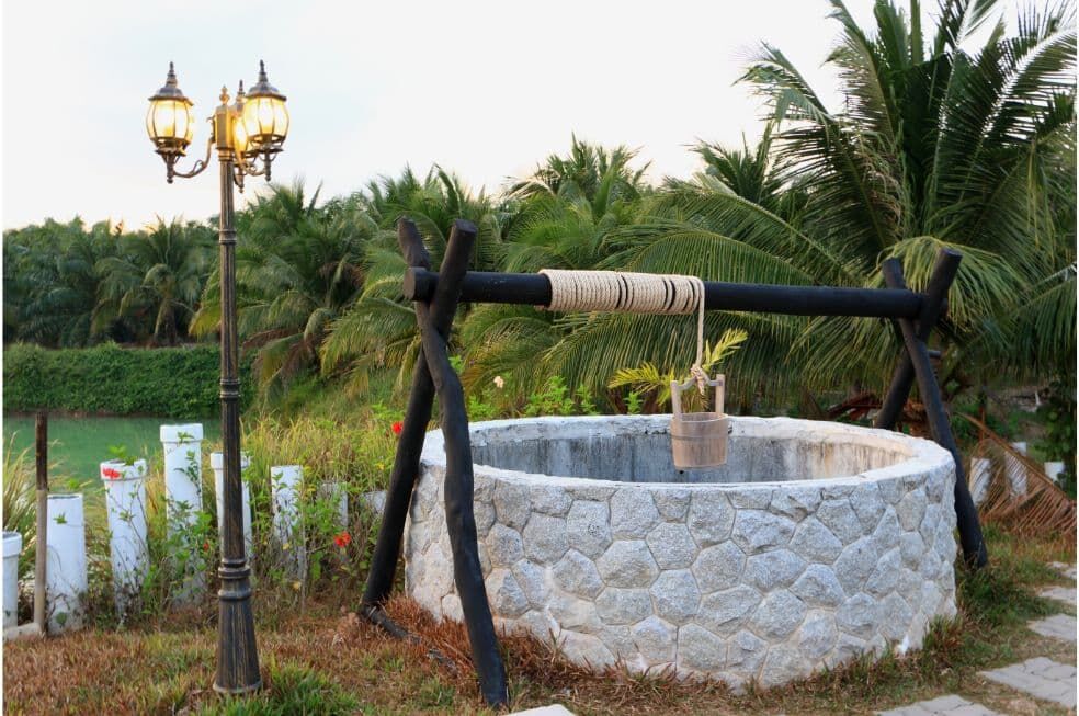 studnia obudowana kamieniem ogrodowym w ogrodzie z palmami