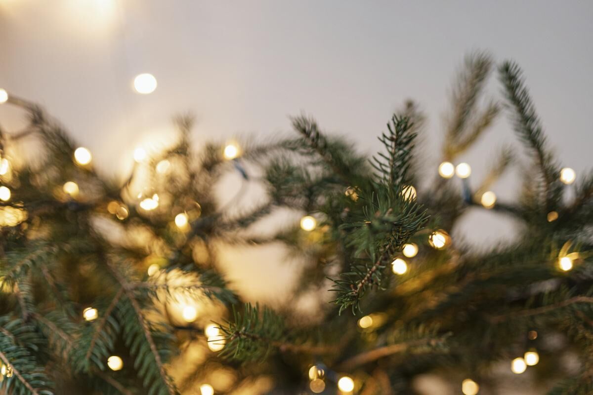 Lampki choinkowe jakie wybrać