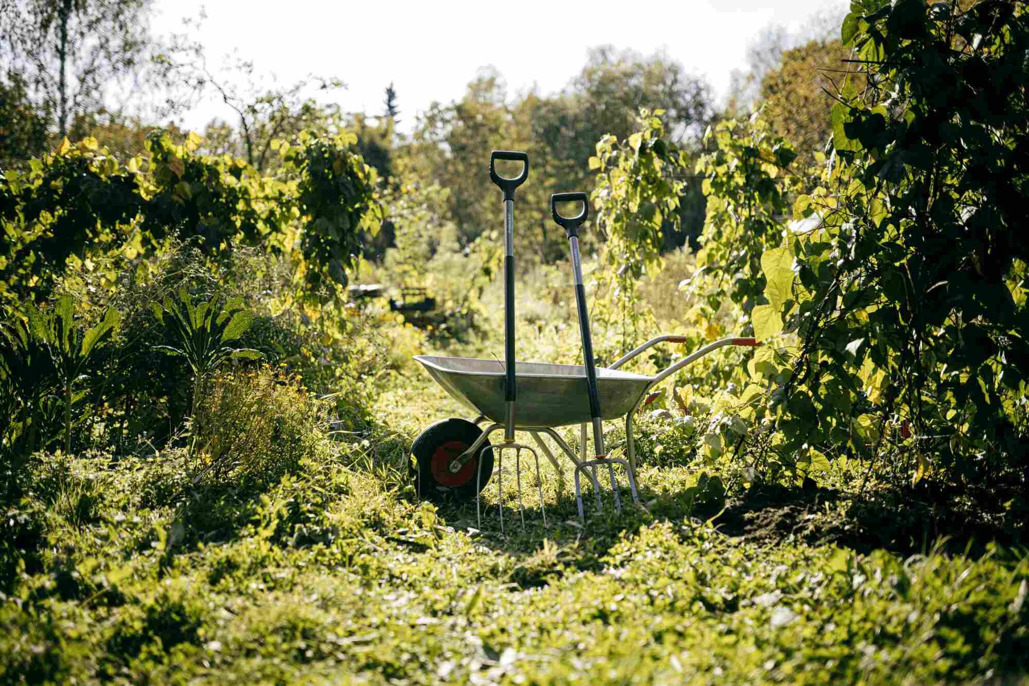 Narzędzia ogrodnicze Fiskars