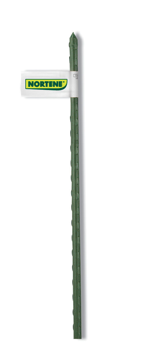 Tyczka stalowa 60 cm zielona Nortene miniaturka