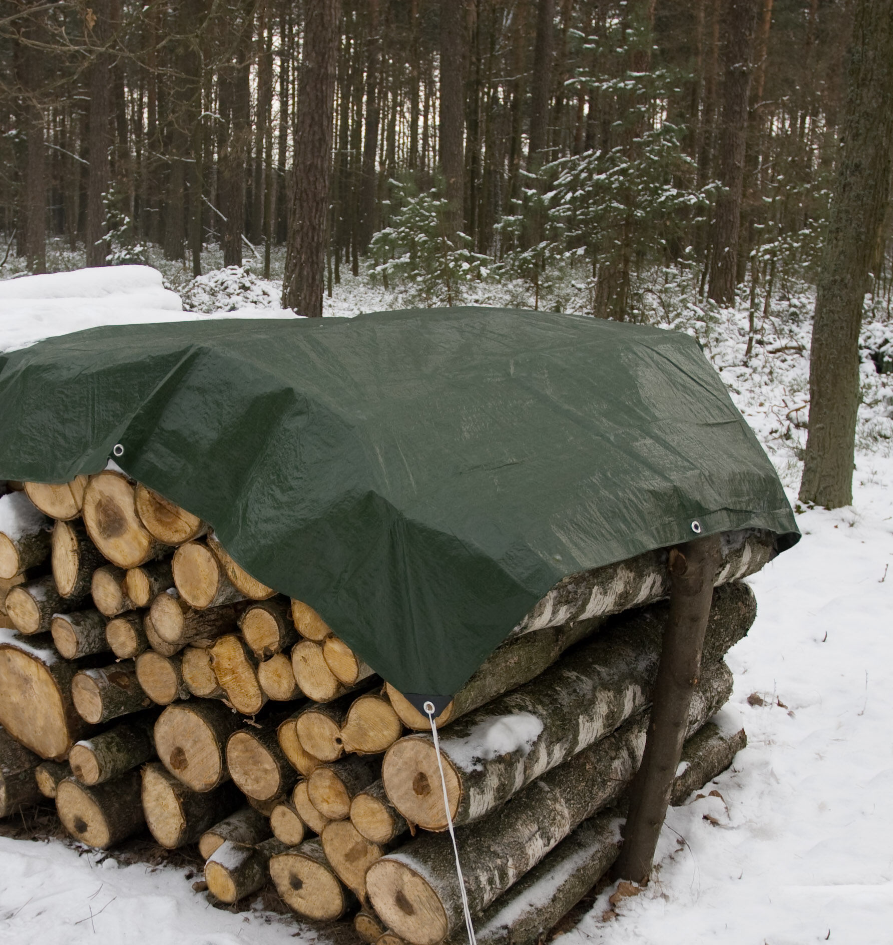 Plandeka uniwersalna 4 x 6 m zielona 65 g/m²