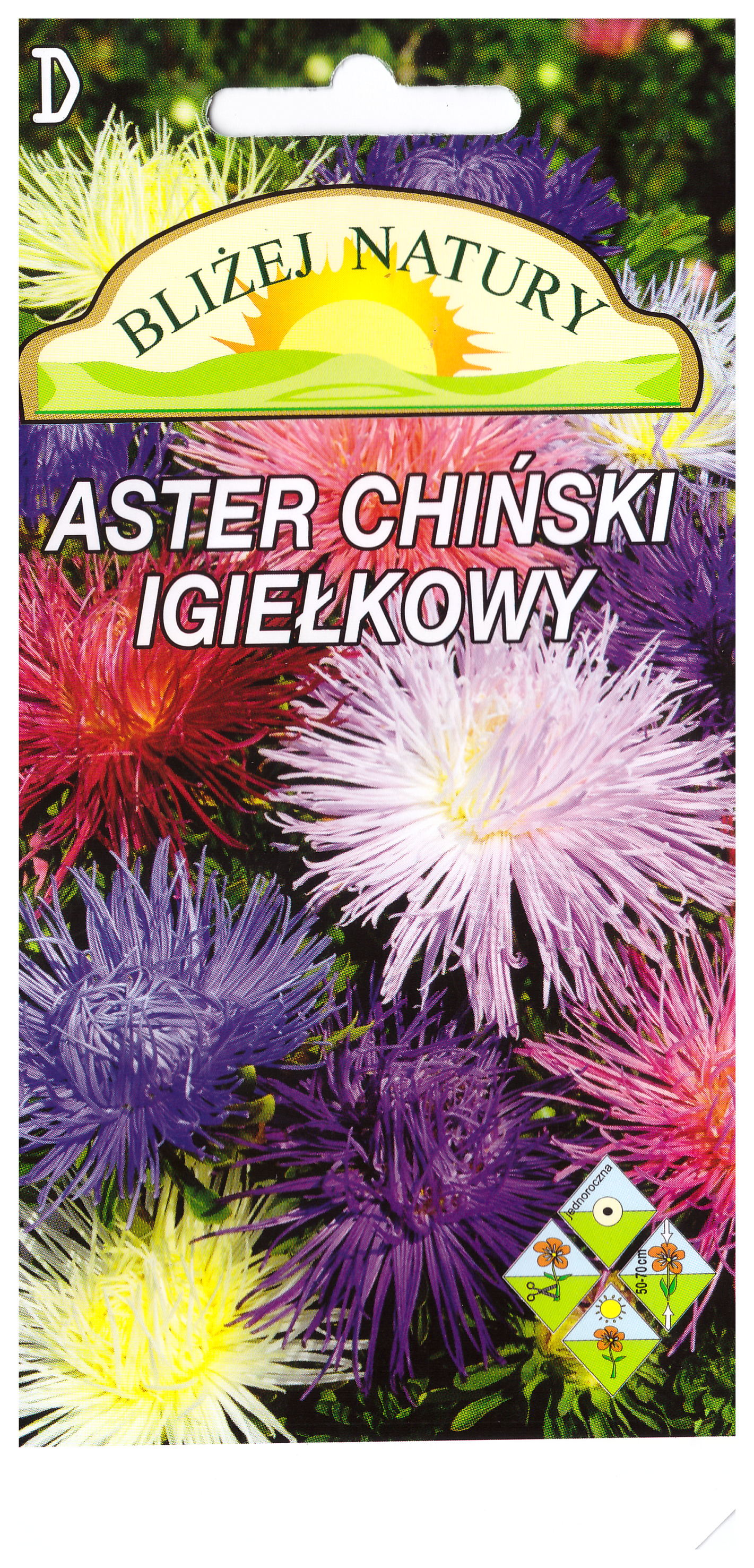 Aster igiełkowy zestaw kolorów + polan miniaturka