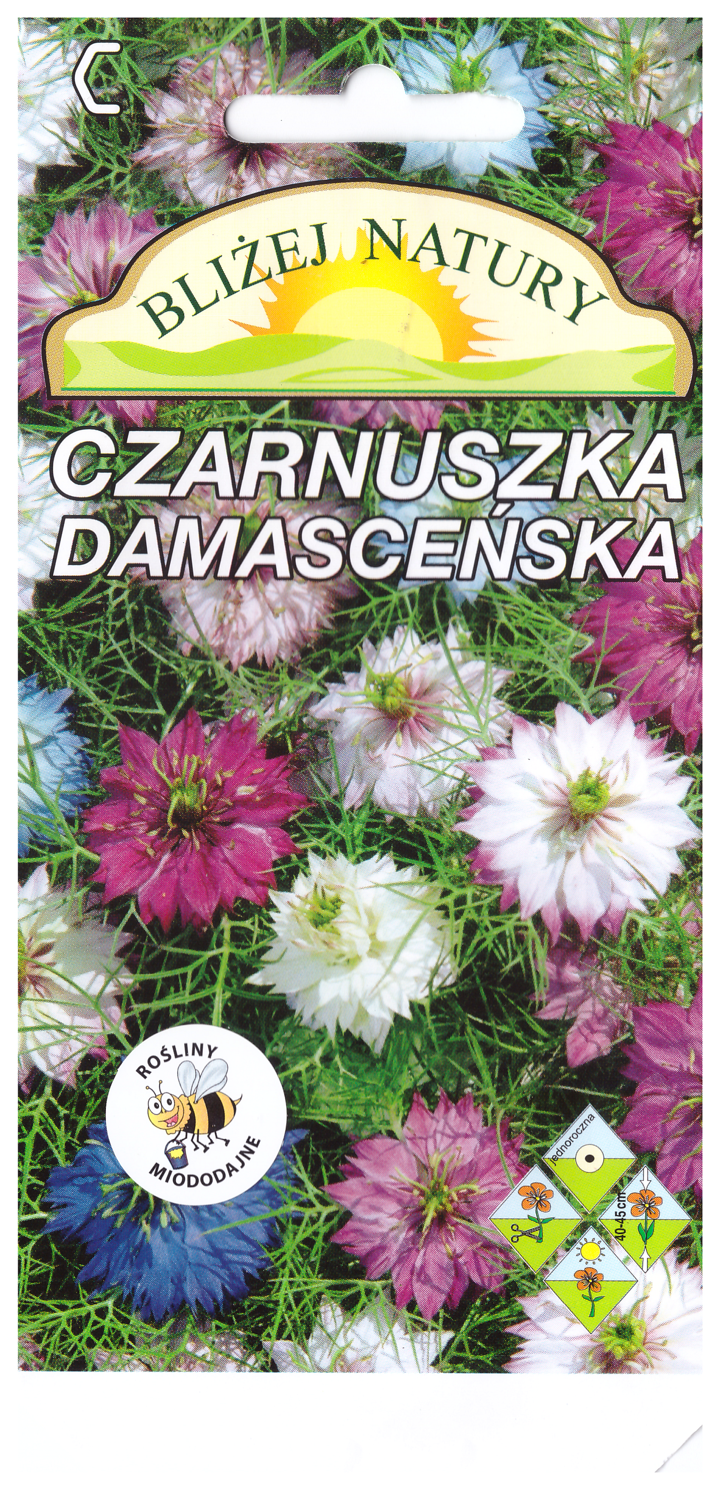Czarnuszka damasceńska mieszana + polan miniaturka