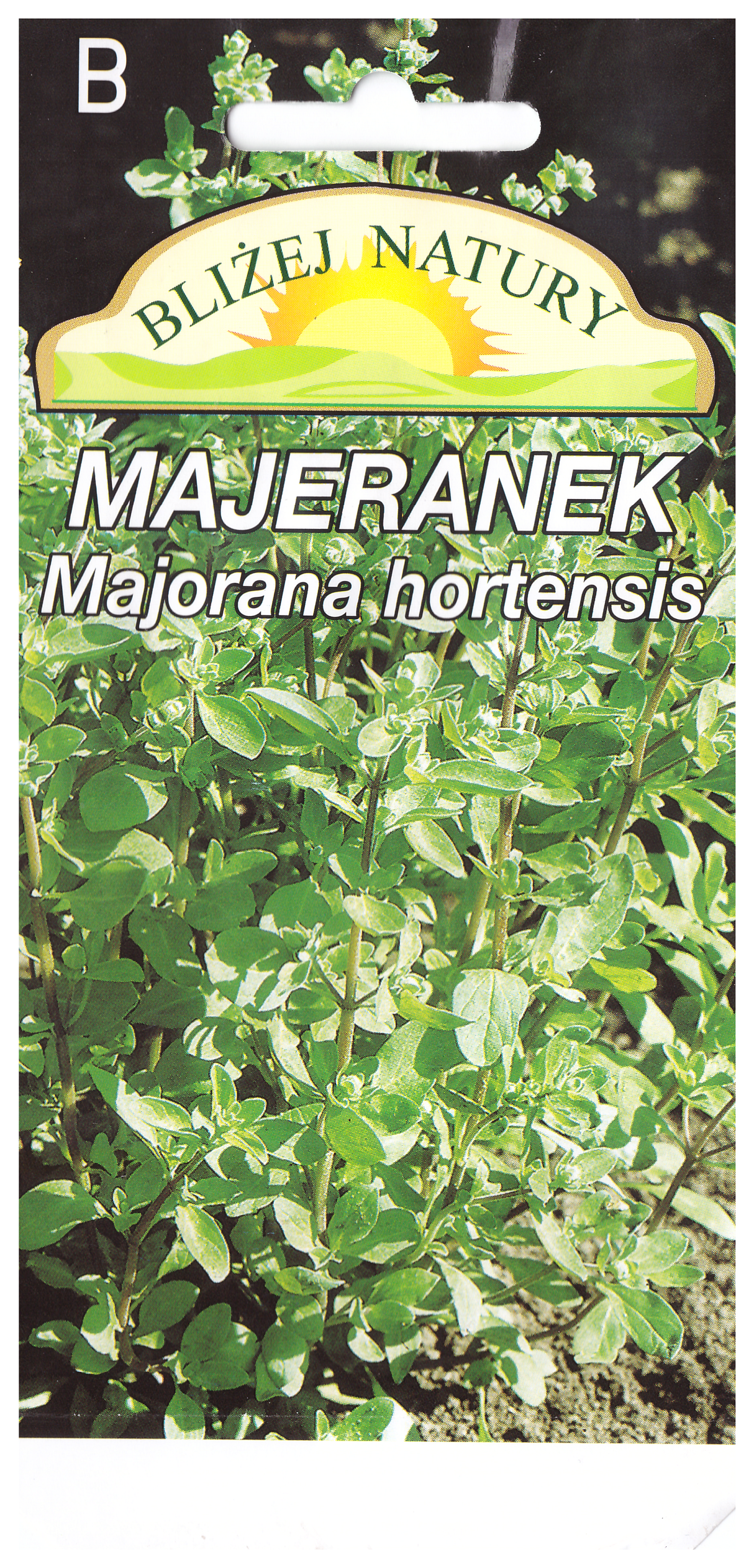 Majeranek miniaturka
