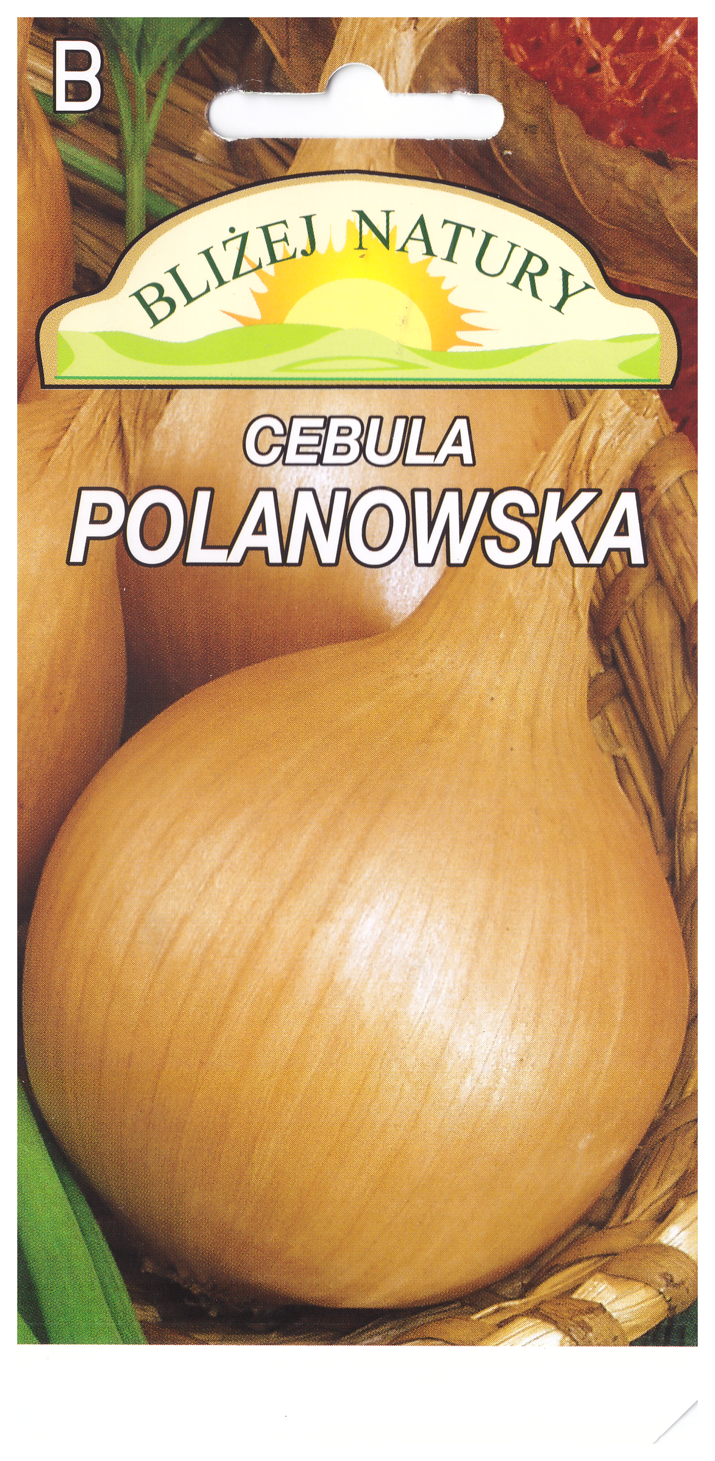 Cebula Polanowska żółta okrągła 2 POLAN miniaturka