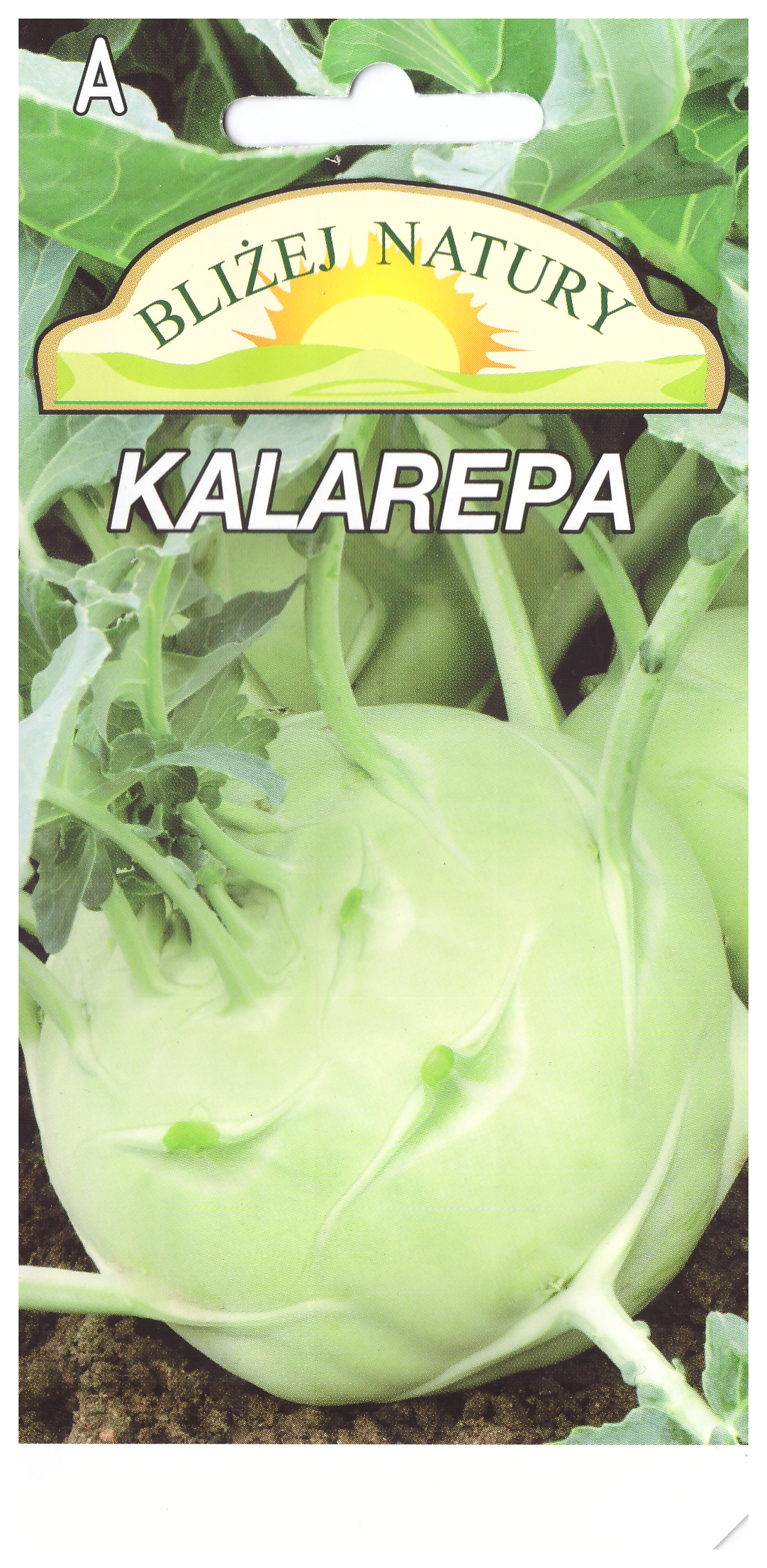 Kalarepa biała 0,5 g miniaturka