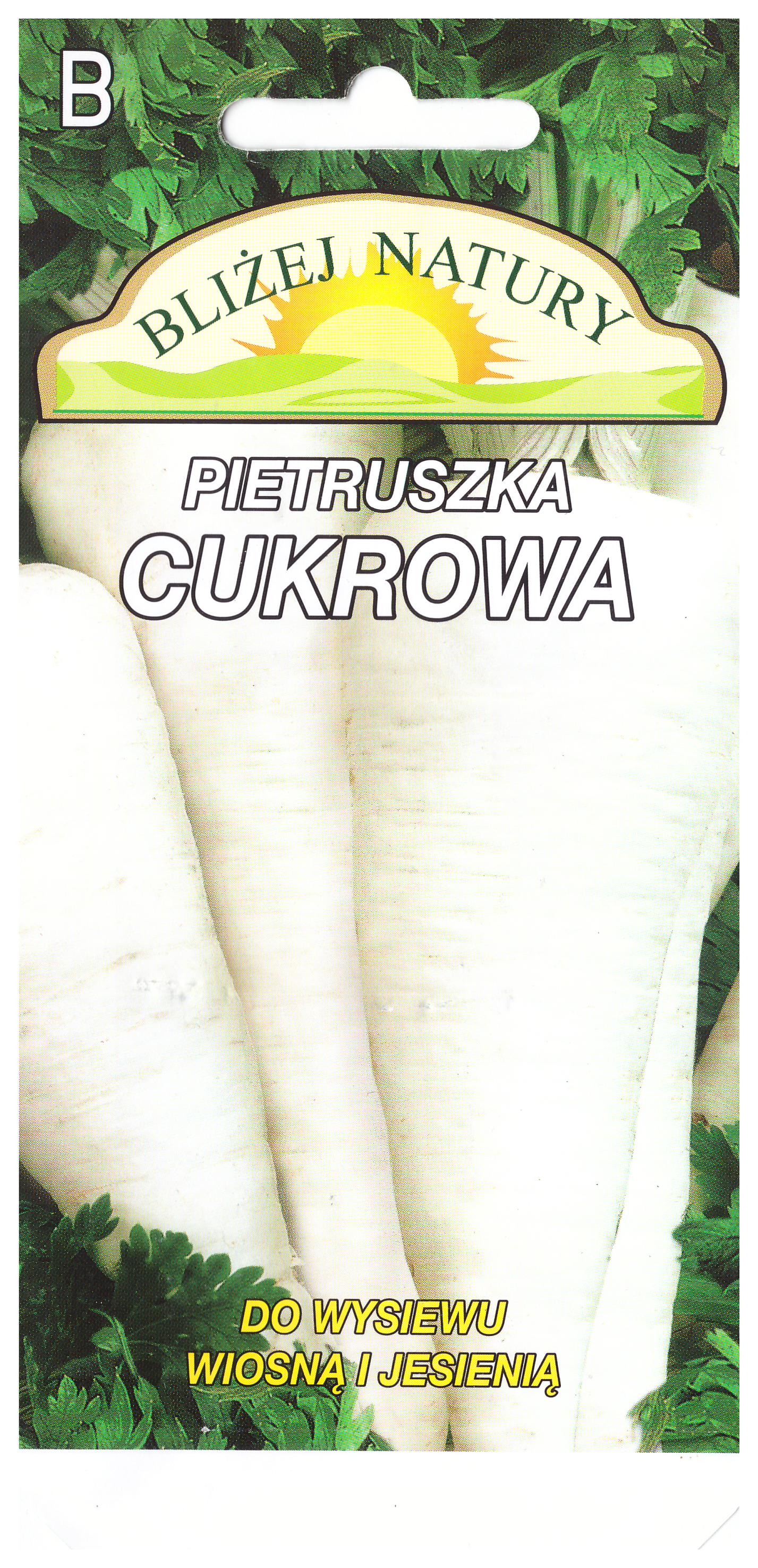 Pietruszka cukrowa wczesna 3 POLAN miniaturka