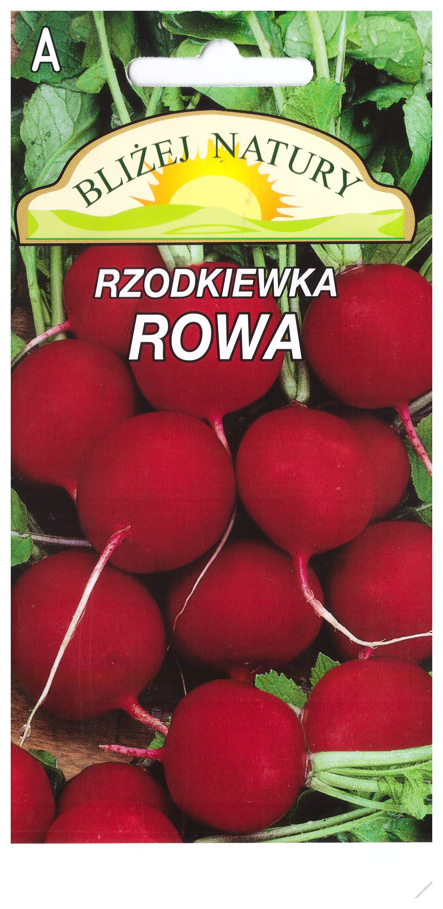 Rzodkiewka okrągła rowa czerwona 5 POLAN miniaturka