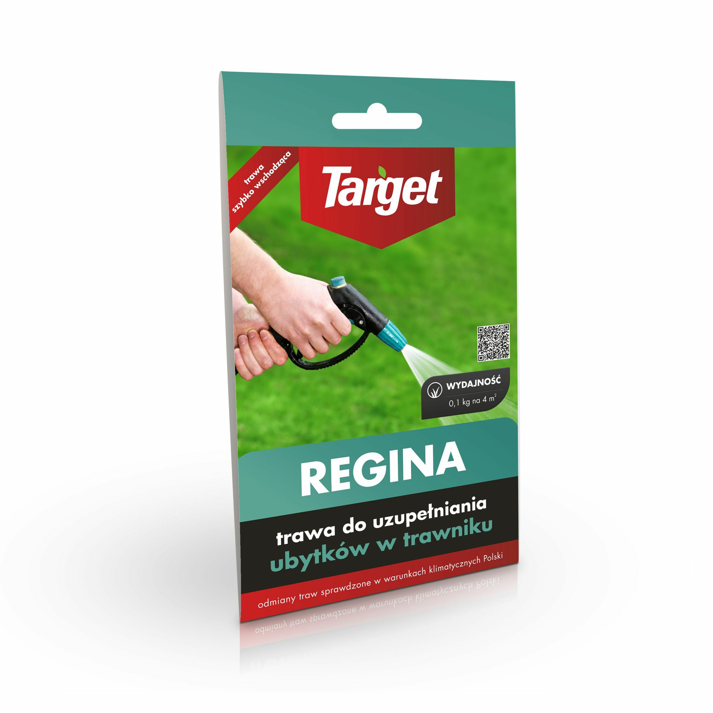 Trawa Regina uzupełnianie ubytków  0,1 kg Target miniaturka