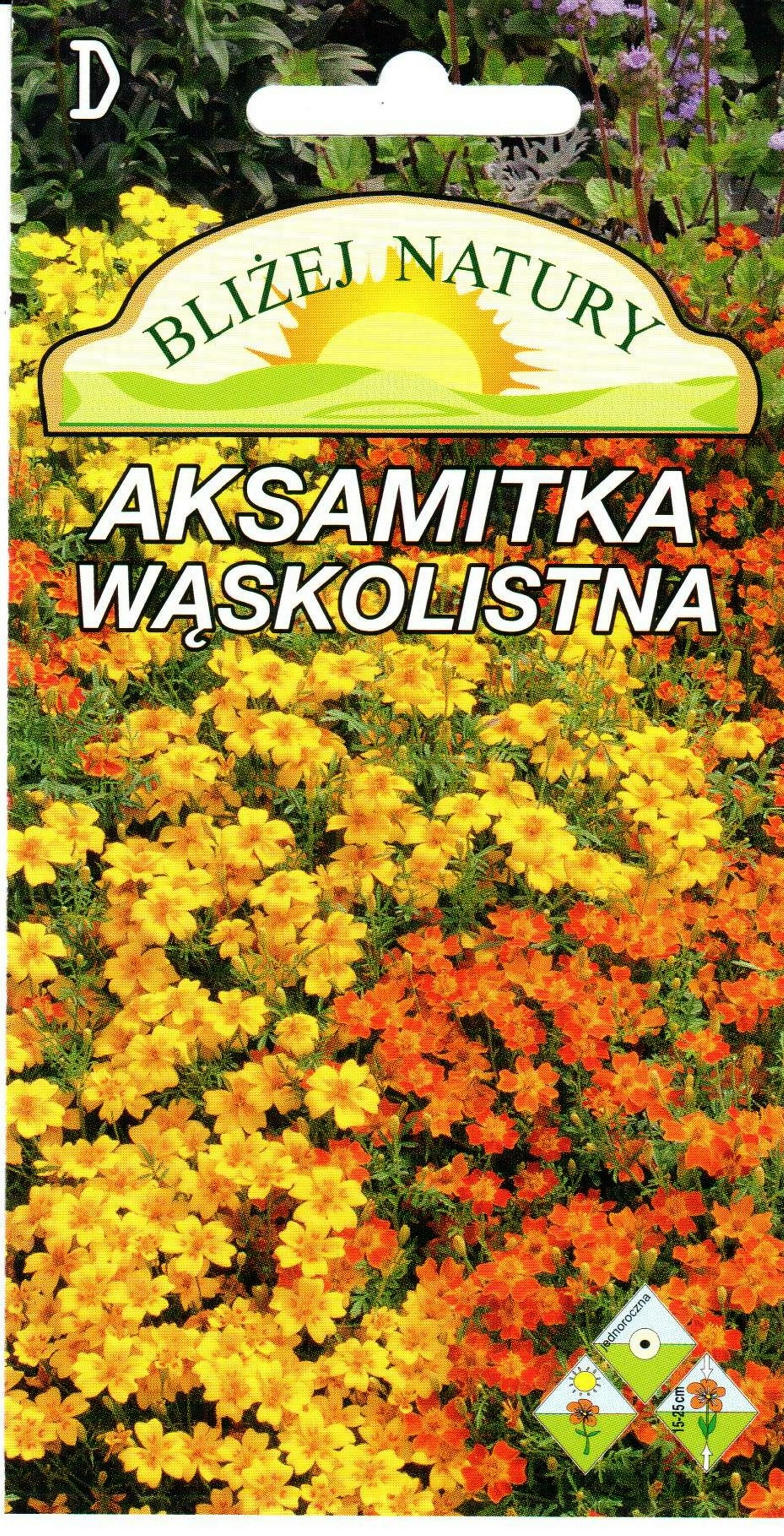 Aksamitka Wąskolistna mieszanka  0,5 g Polan miniaturka