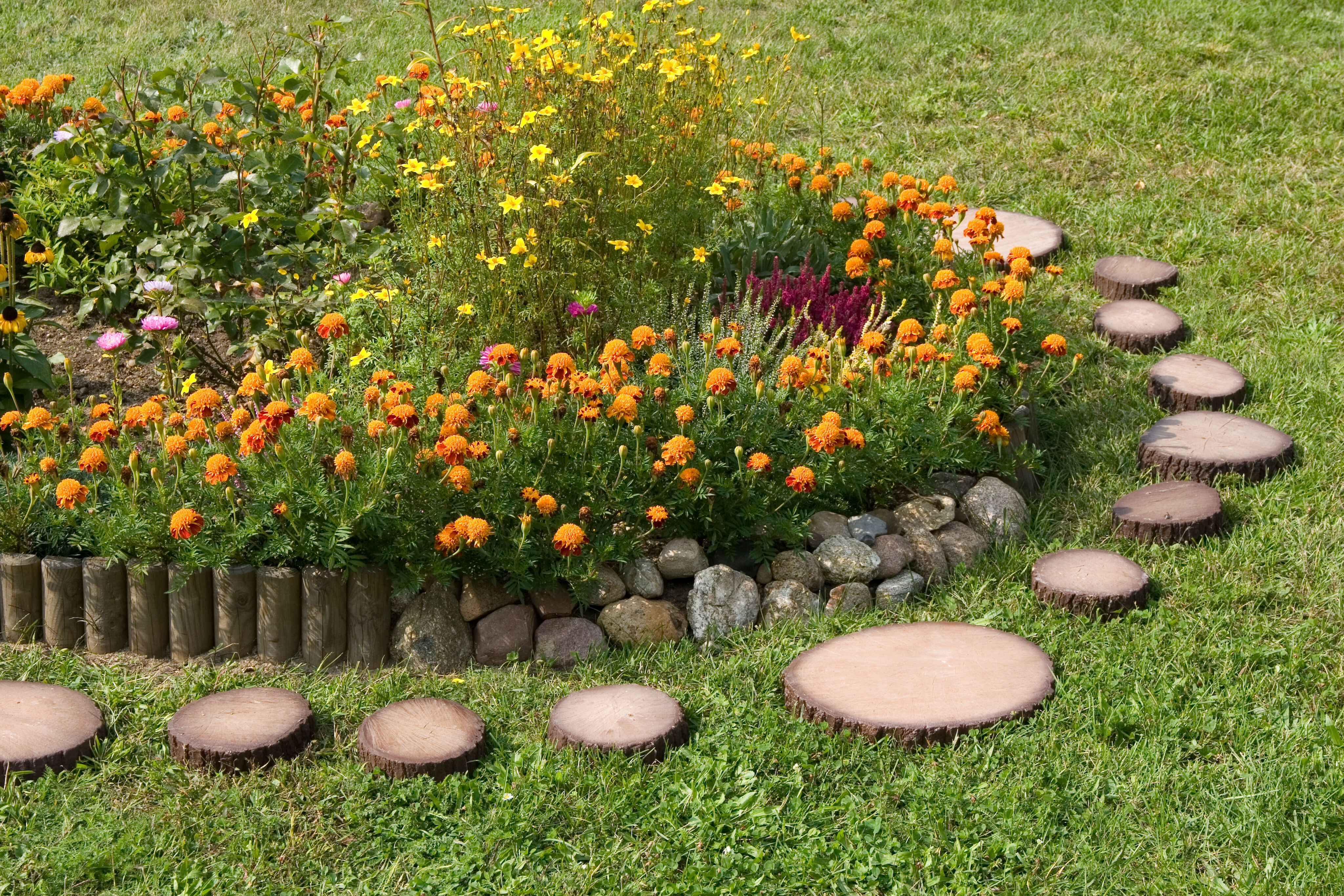 Krążek drewnopodobny KD 2 250 x 45 mm
