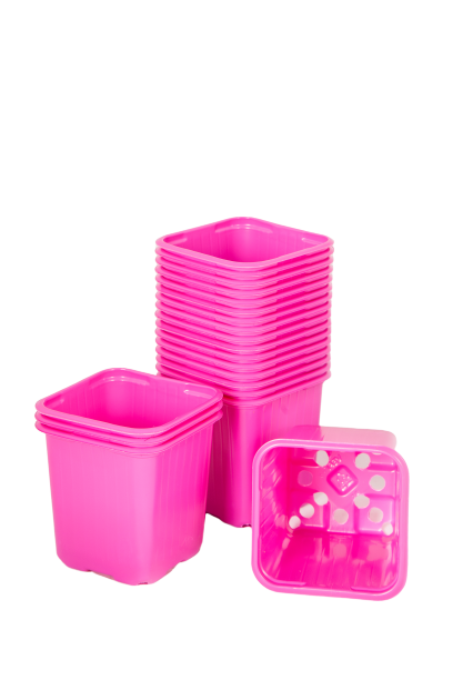 Doniczka do rozsady kwadratowa 8 cm różowa 20 szt. VEFI