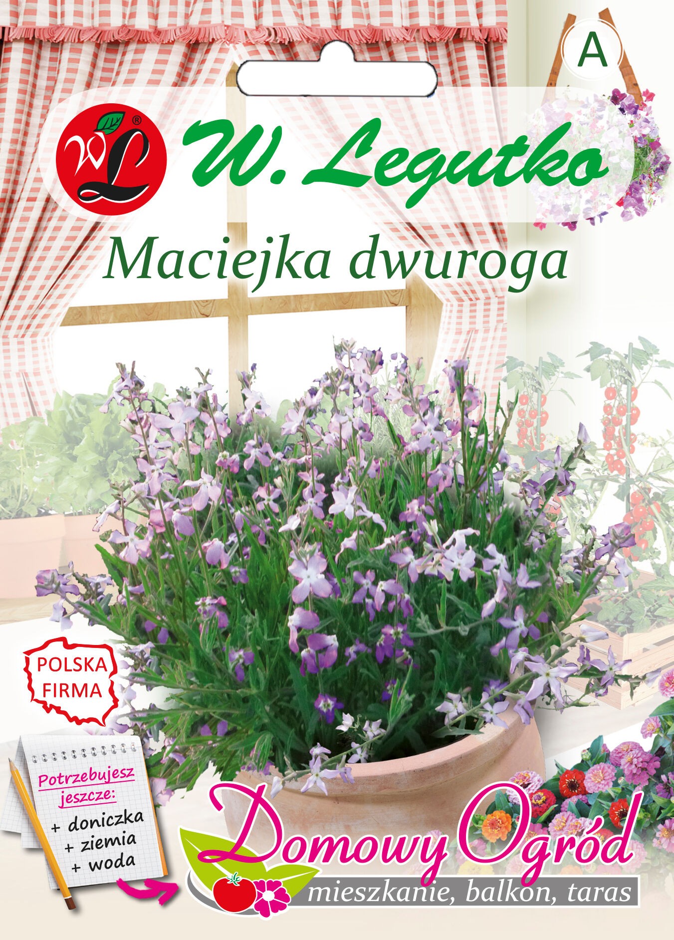 Maciejka dwuroga różowolawendowa 50 cm W.Legutko