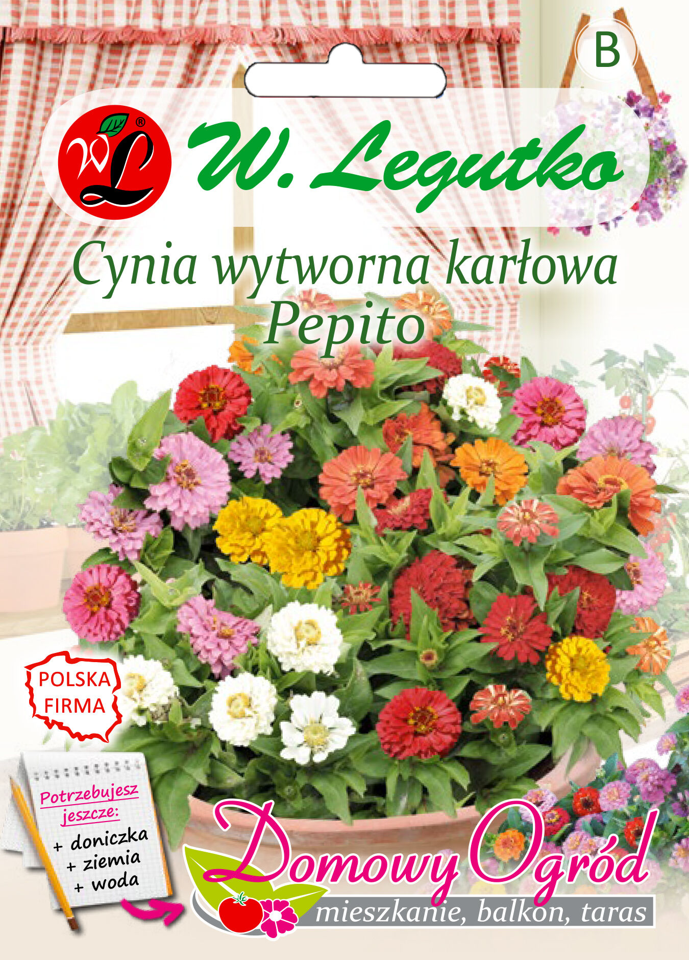 Cynia wytworna karłowa Pepito mieszanka W.Legutko