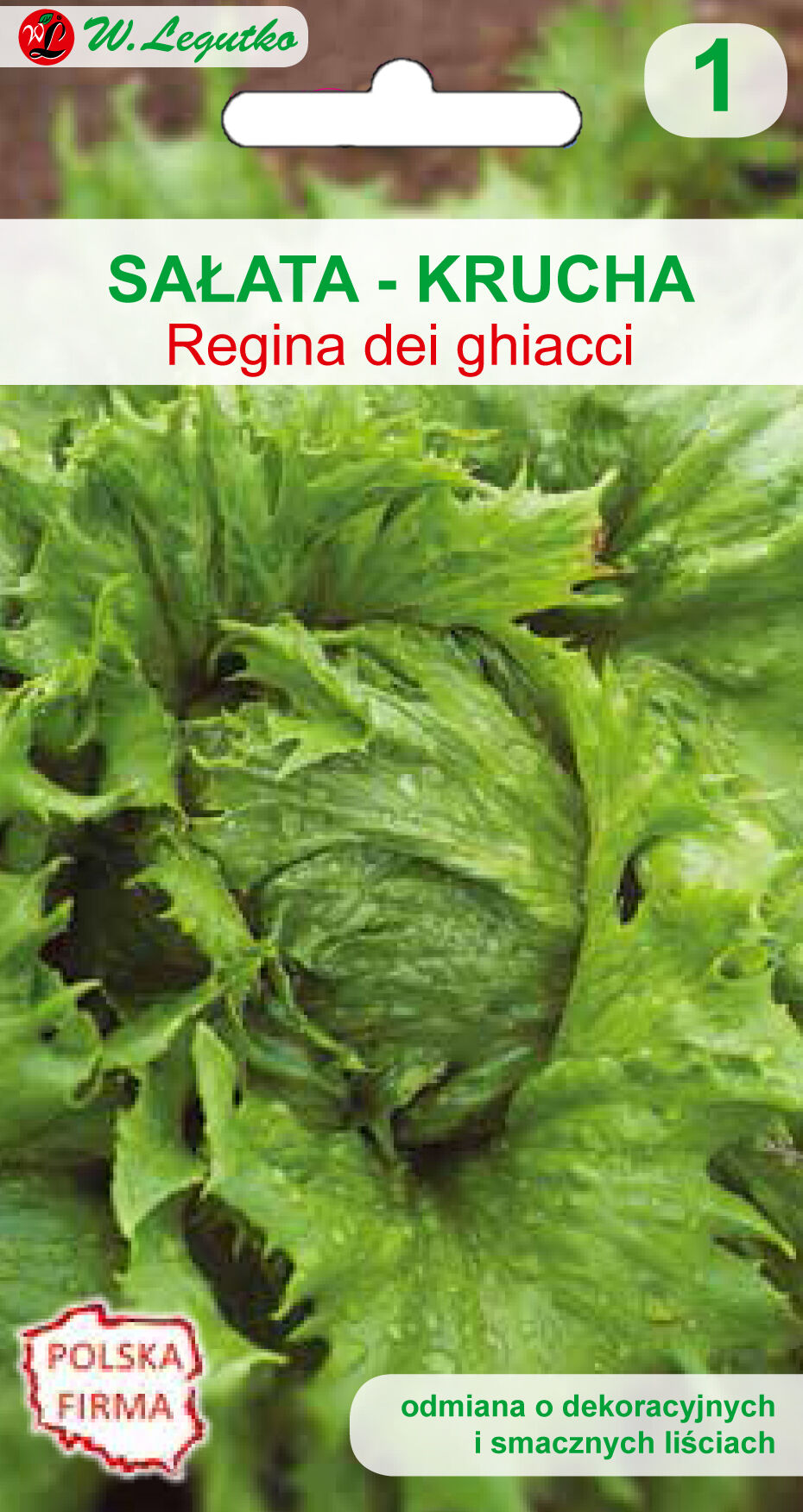 Sałata głowiasta krucha lodowa Regina Dei Ghiacci W.Legutko