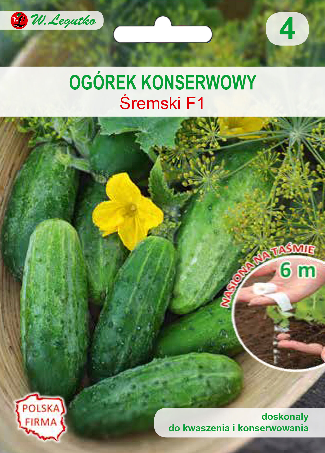 Nasiona na taśmie - ogórek gruntowy Śremski F1 W.Legutko