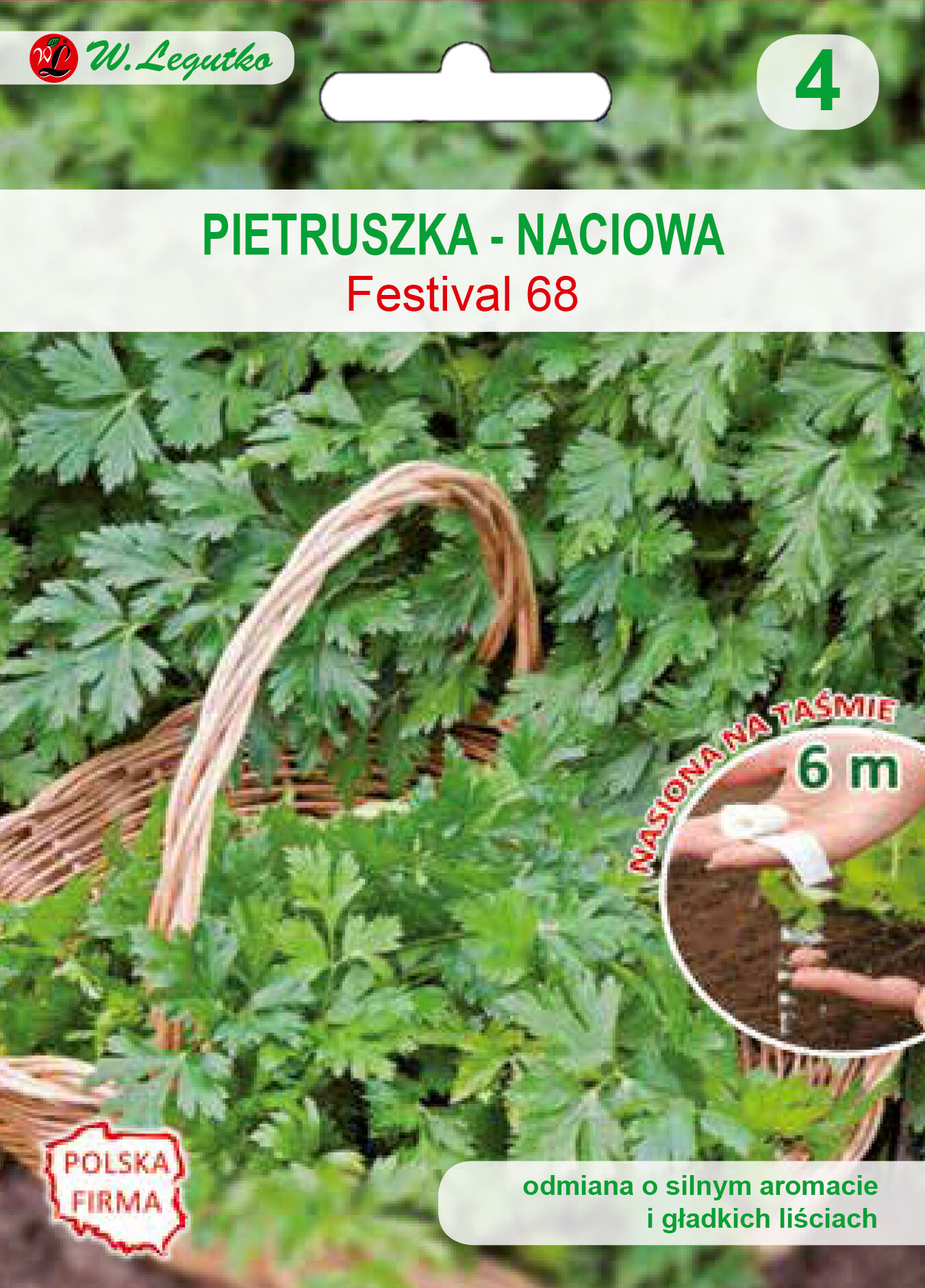 Nasiona na taśmie - pietruszka naciowa o liściach gładkich Festival 68 W.Legutko