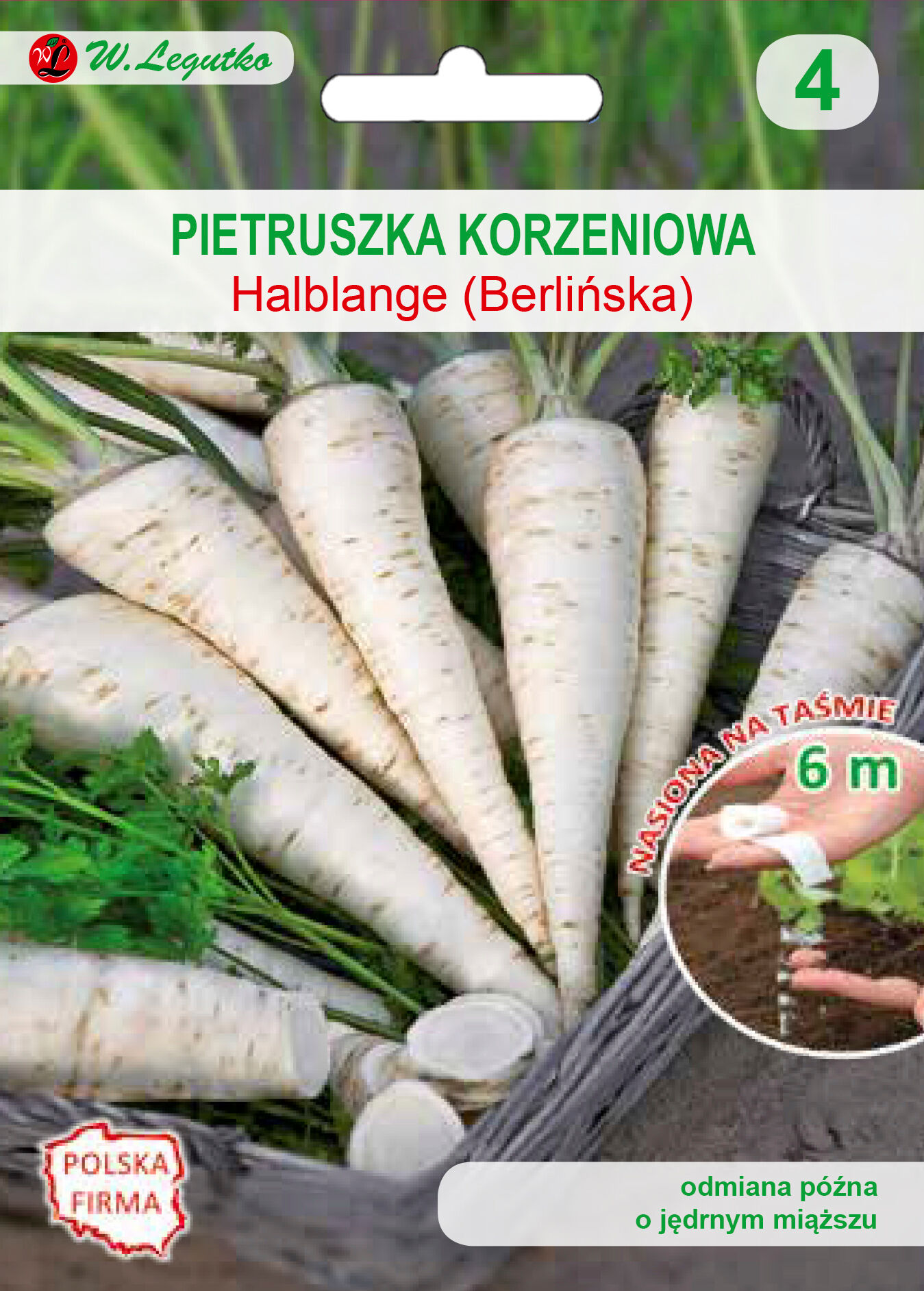 Nasiona na taśmie - pietruszka korzeniowa Halblange (Berlińska) W.Legutko