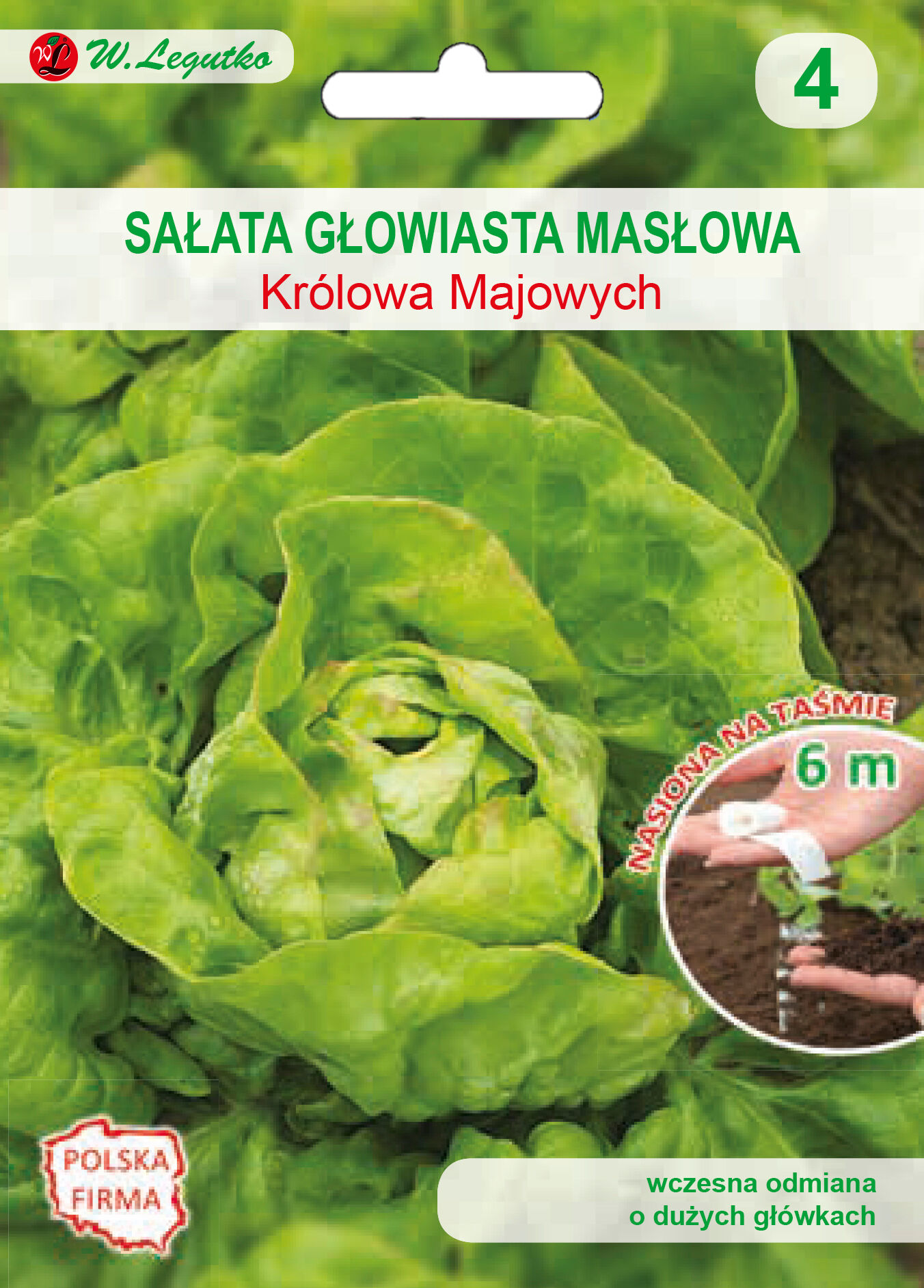 Nasiona na taśmie - sałata głowiasta masłowa May King (Królowa Majowych) W.Legutko