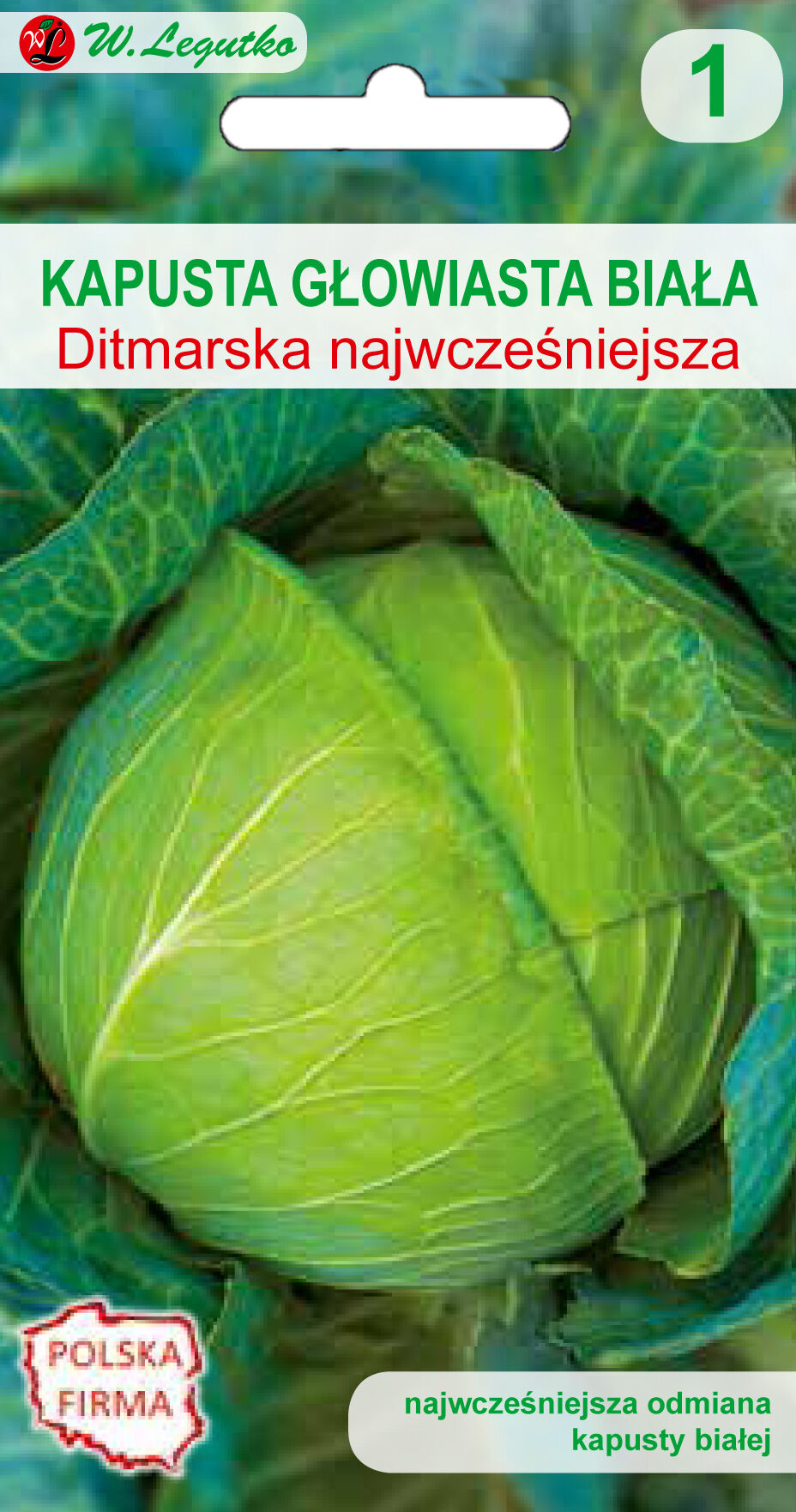 Kapusta głowiasta biała Dithmarscher Früher (Ditmarska Najwcześniejsza) W.Legutko