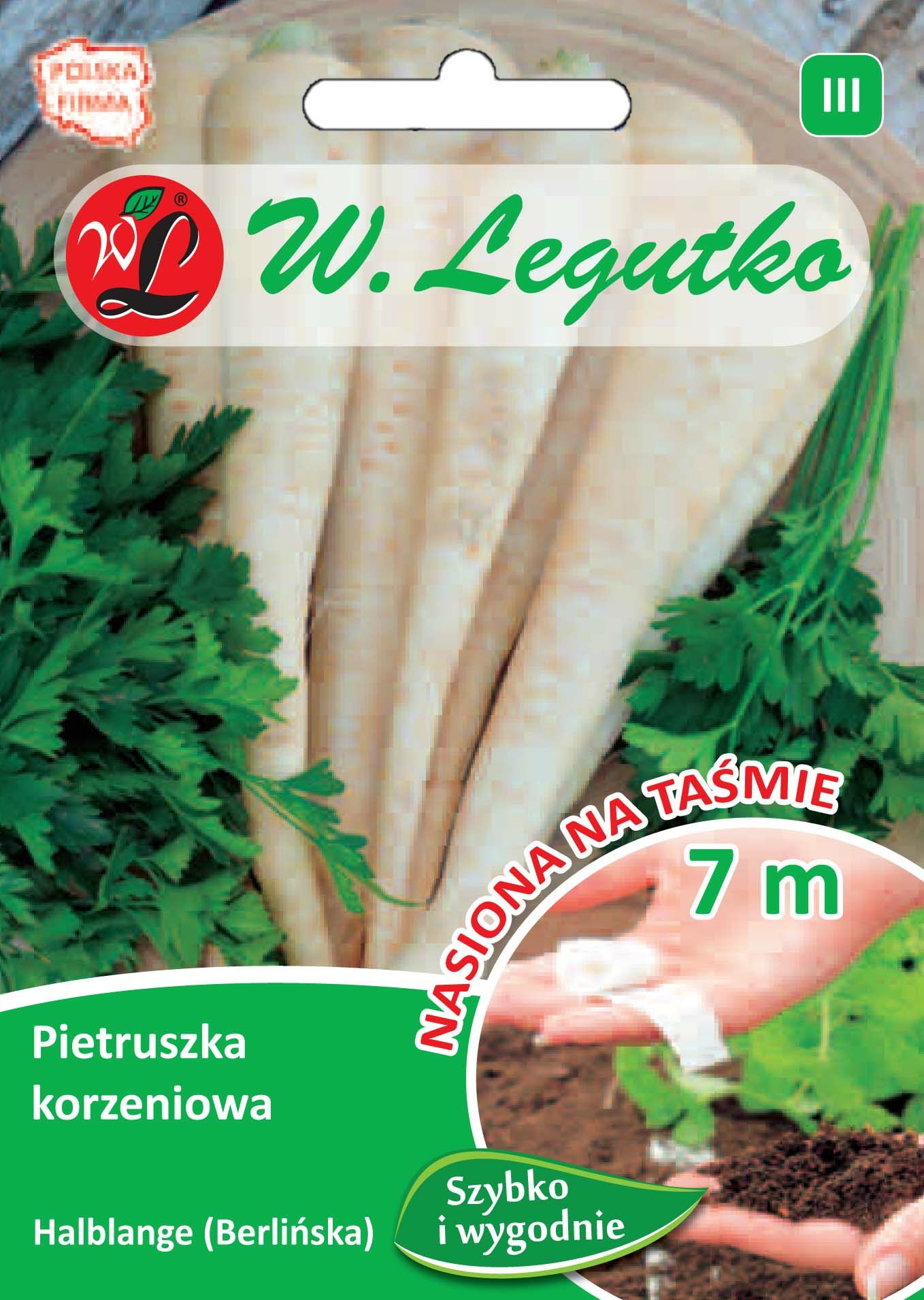 Nasiona na taśmie pietruszka korzeniowa Halblange (Berlińska) W.Legutko