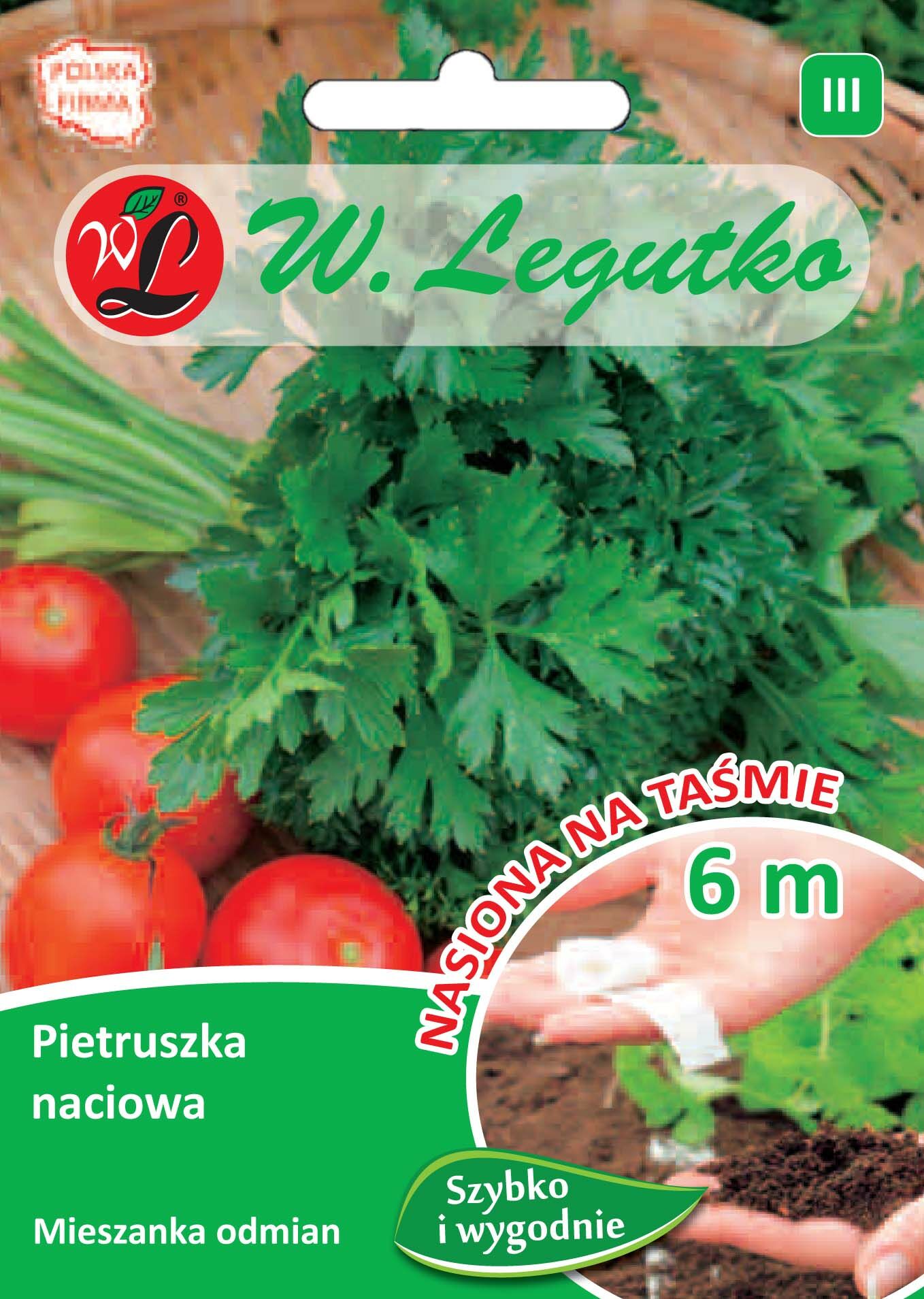 Nasiona na taśmie pietruszka naciowa mieszanka odmian W.Legutko