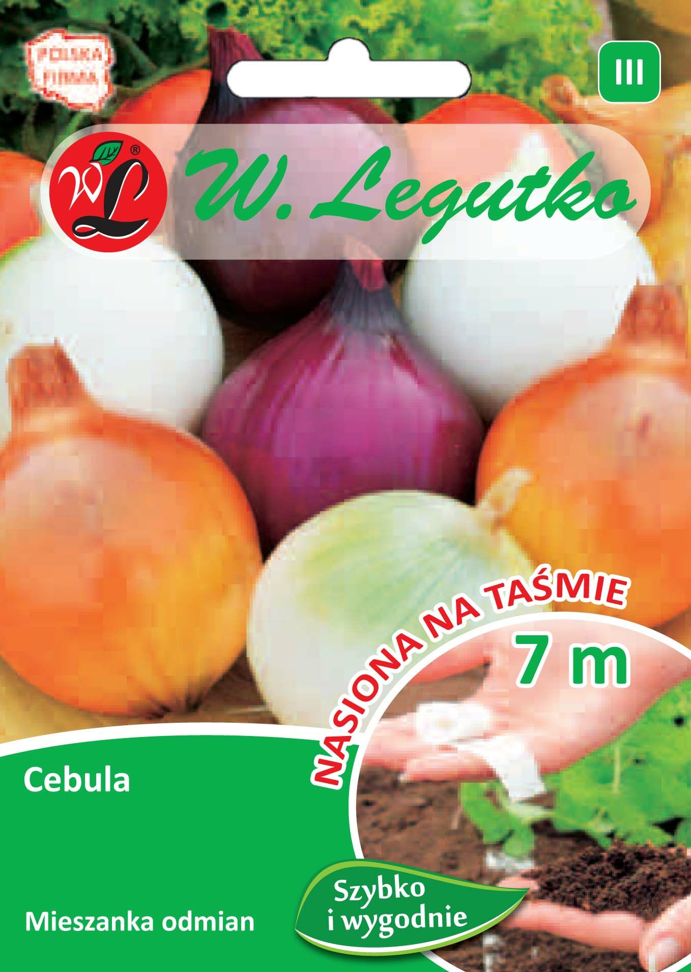 Nasiona na taśmie cebula mieszanka odmian W.Legutko