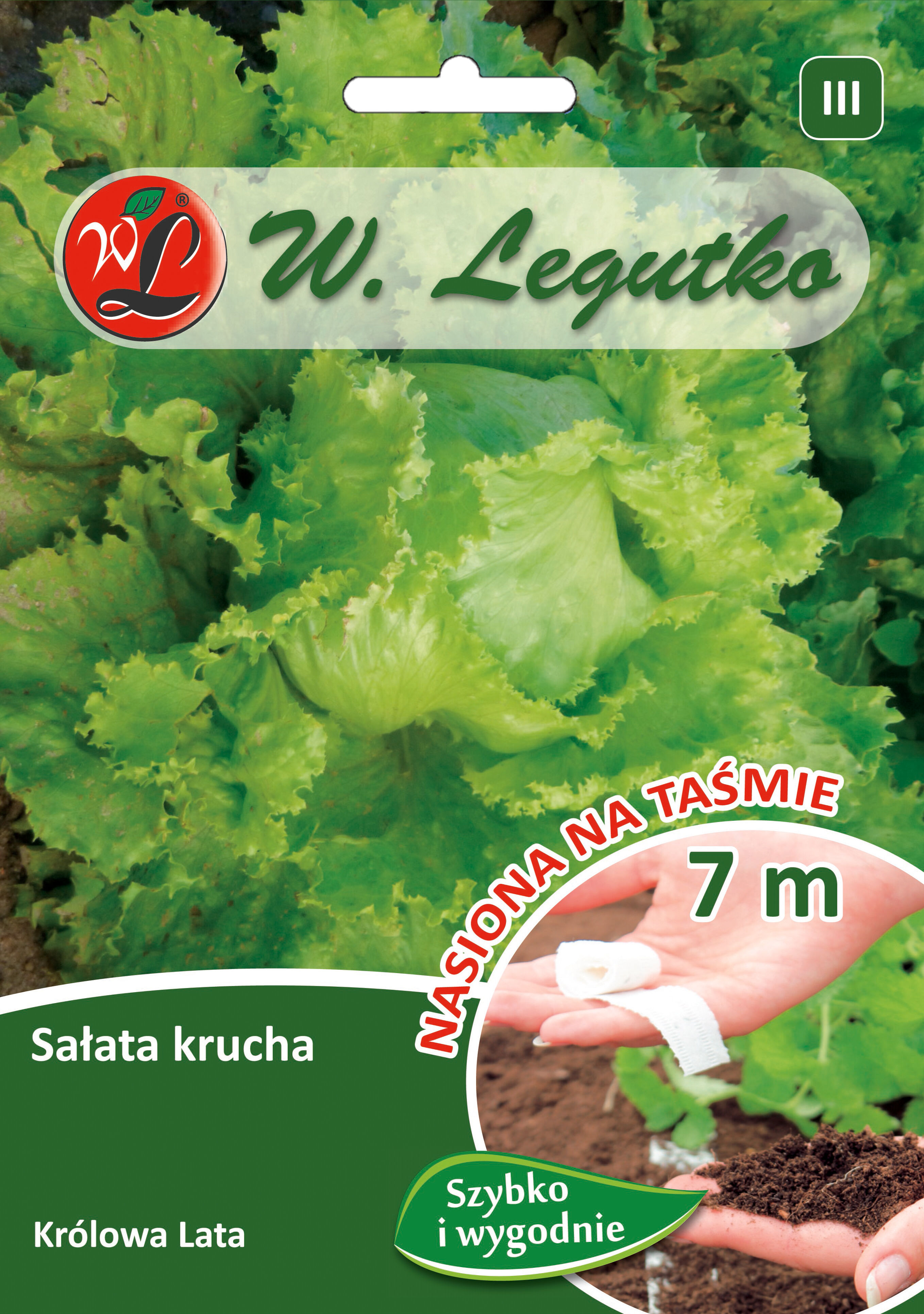 Nasiona na taśmie - sałata głowiasta krucha lodowa Królowa Lata W.Legutko