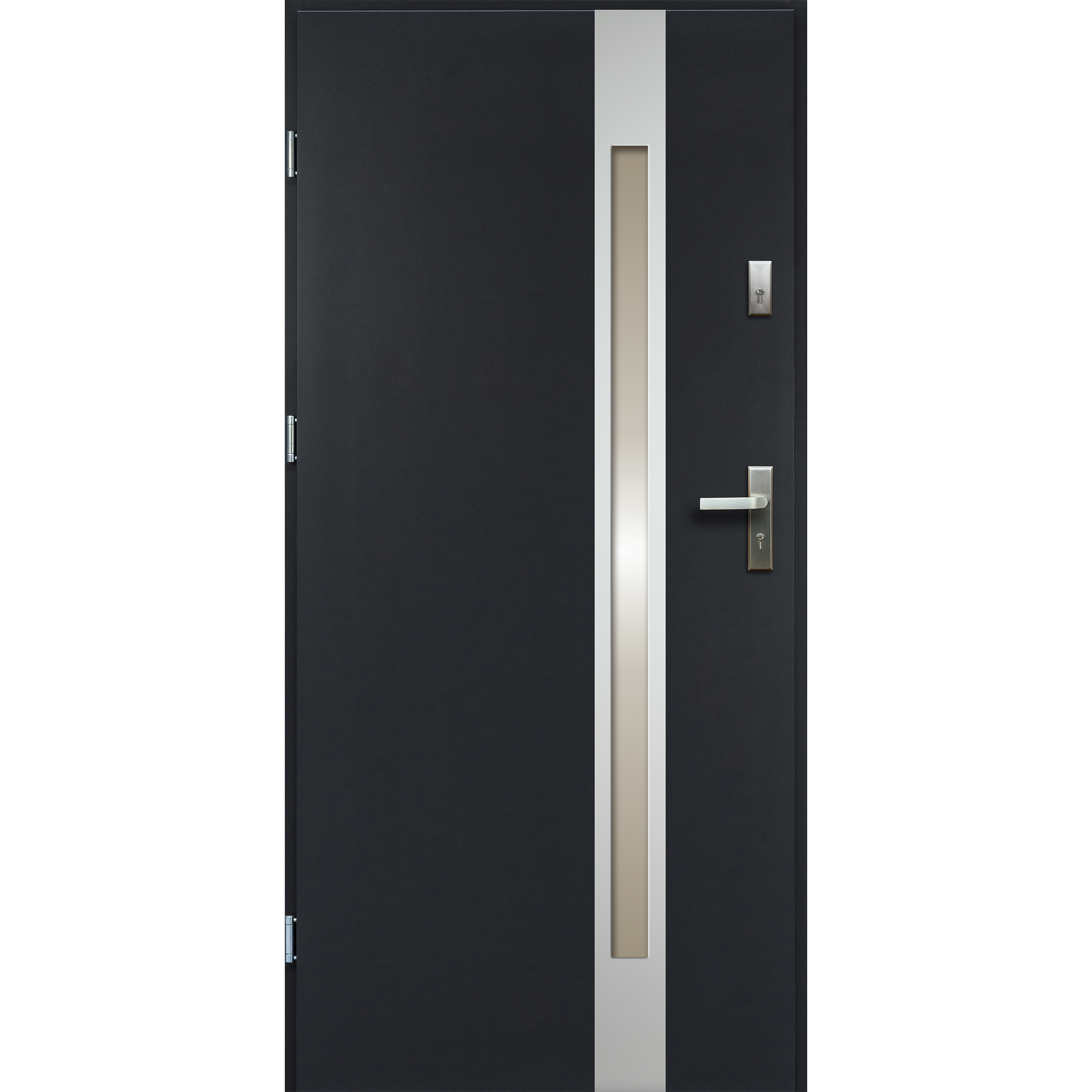 Drzwi zewnętrzne TEMIDAS inox antracyt 80 lewe RADEX