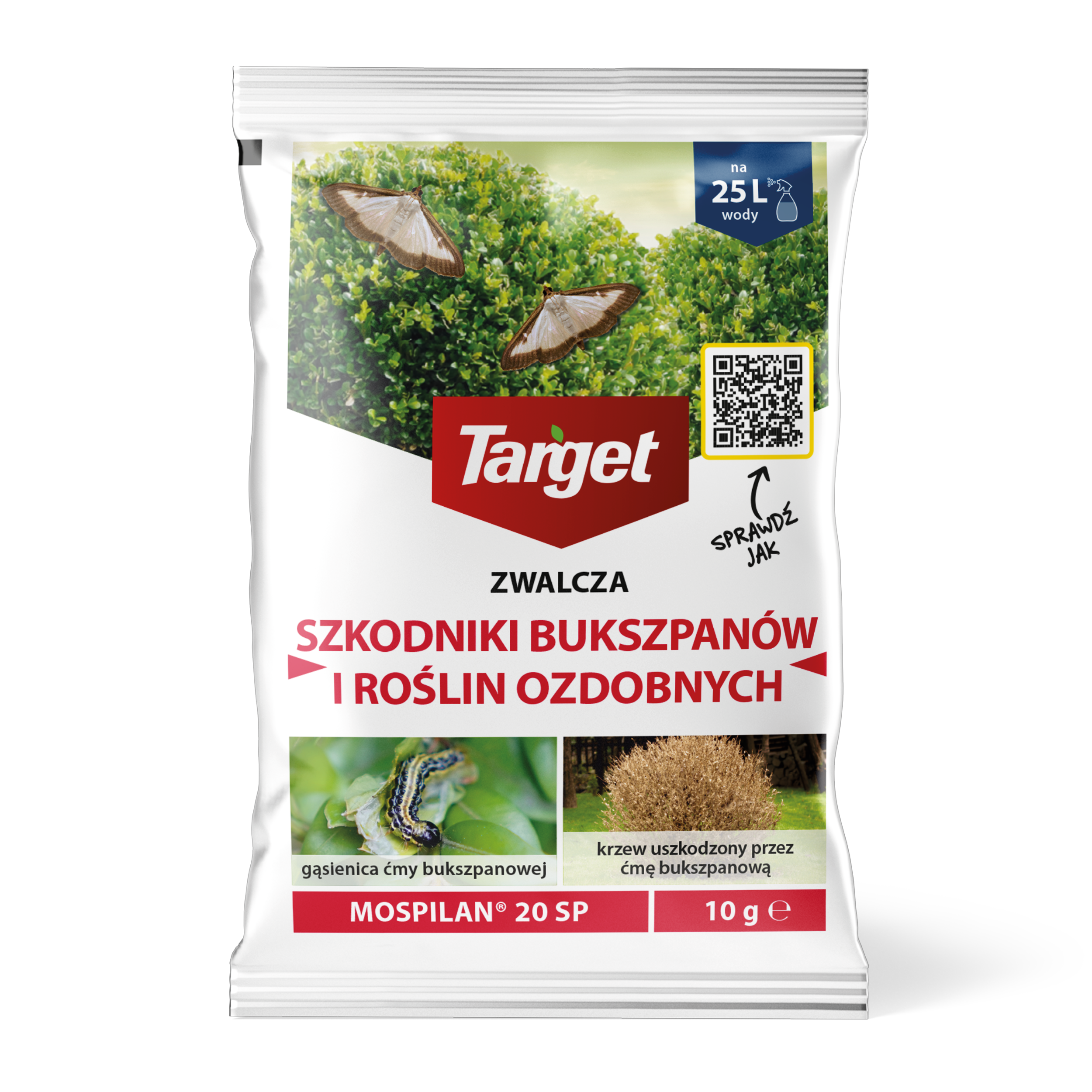 Środek owadobójczy MOSPILAN 20SP zwalcza ćmę bukszpanową 10 g