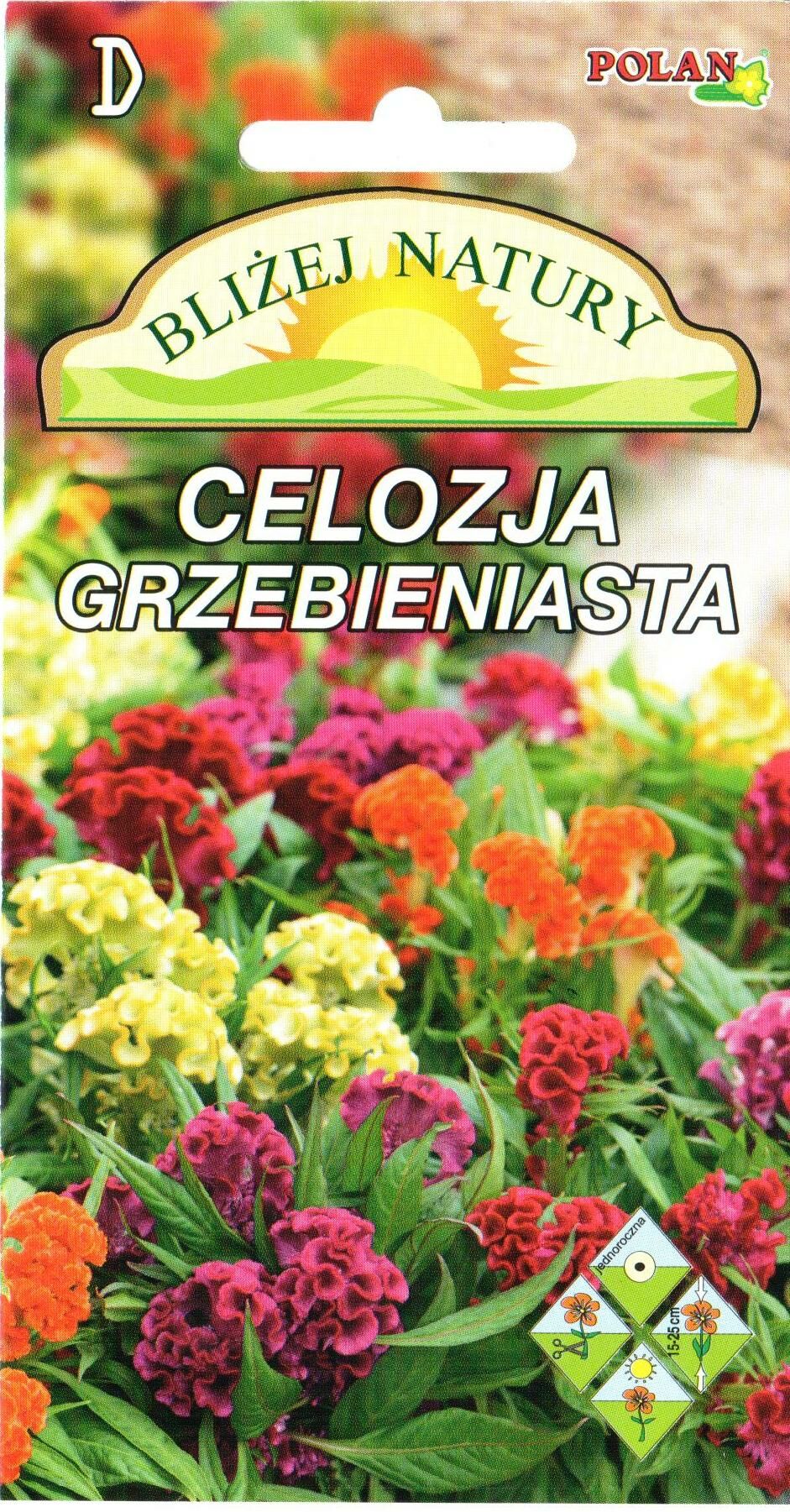 Celozja grzebieniasta 0,2 g miniaturka