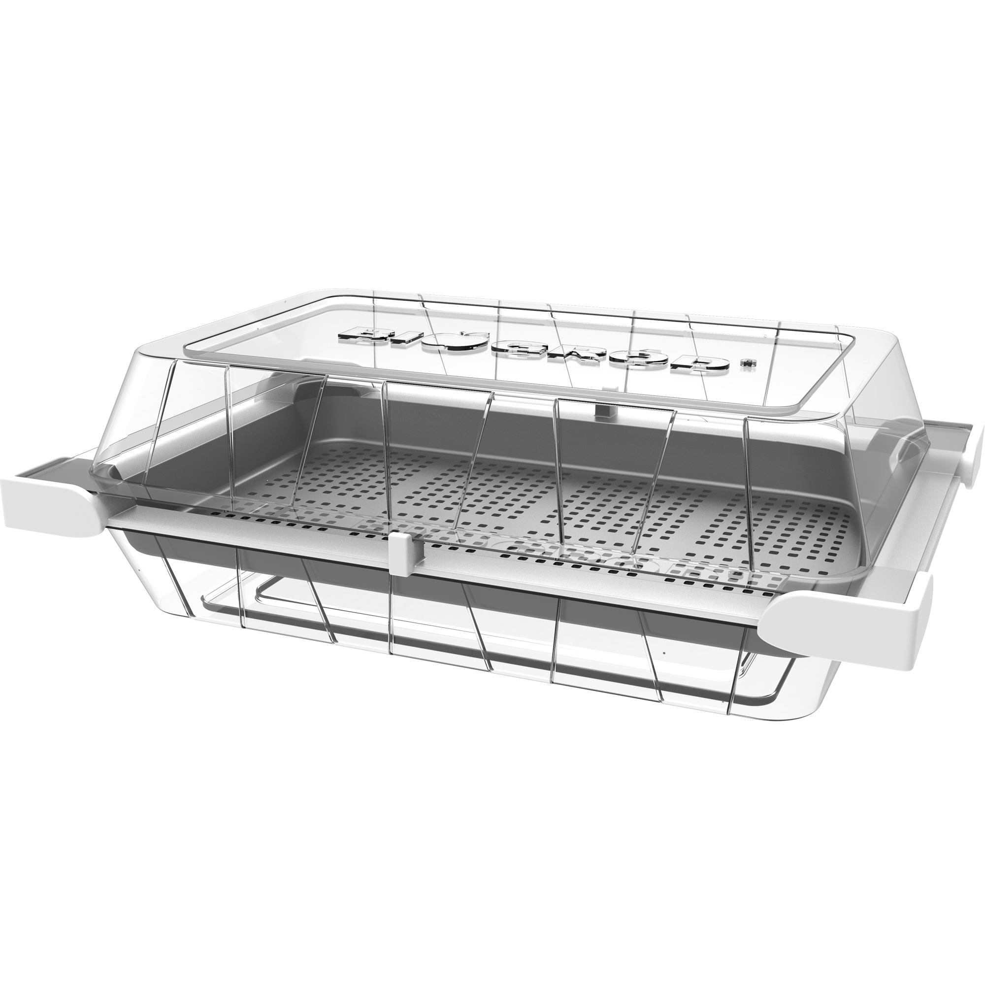 Zielona Czuprynka kiełkownica w tacce 18,5 x 3,5 x 12,5 cm
