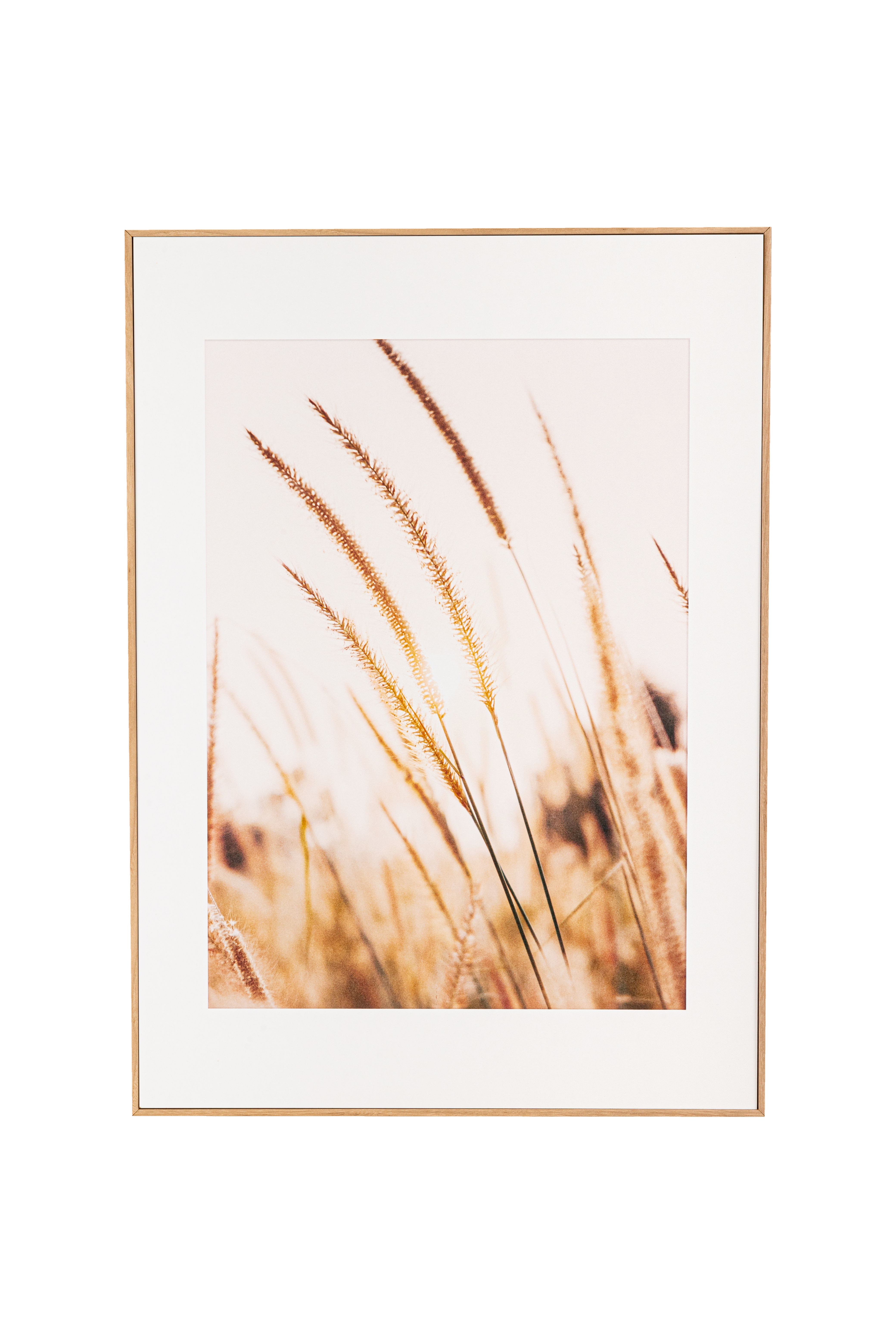 Obraz w ramie ARTBOX DIGI 50 x 70 cm AB078 GRASSES I