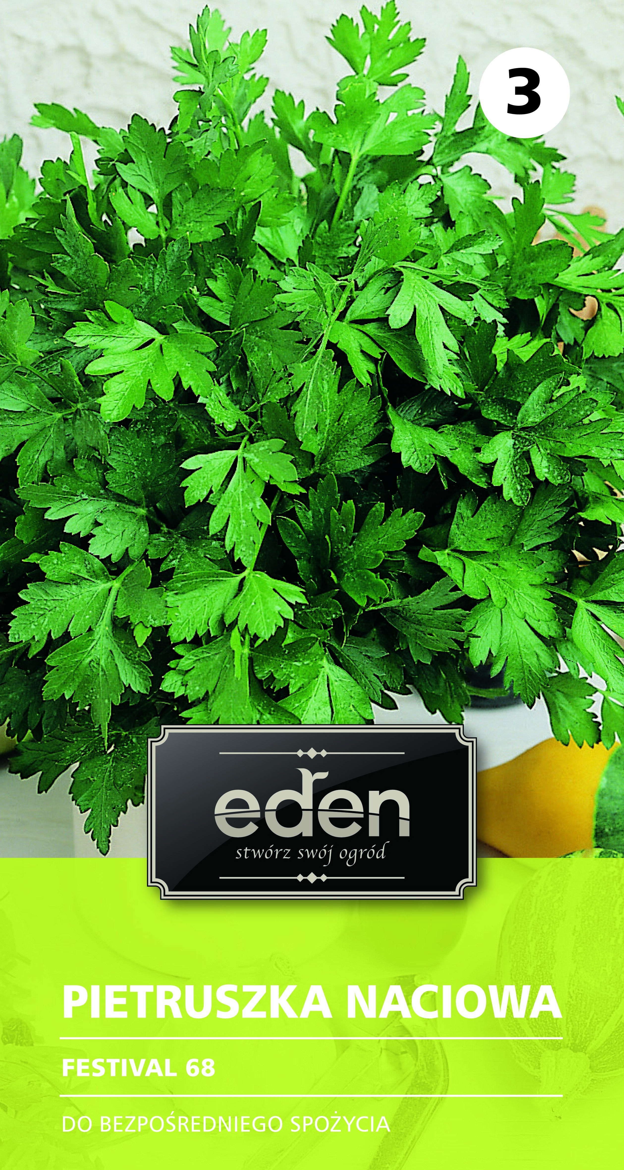 Pietruszka naciowa gładka Festival 68 5 g Eden